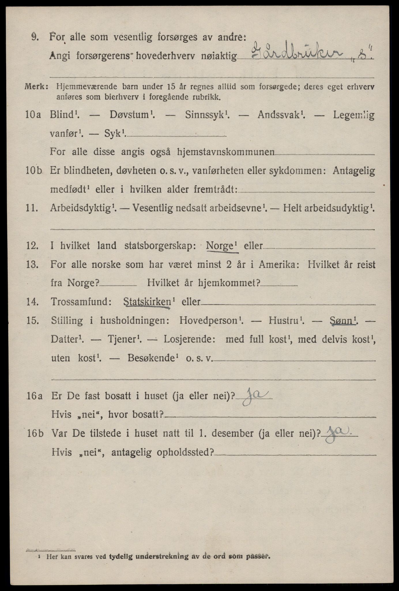 SAKO, 1920 census for Nissedal, 1920, p. 2038