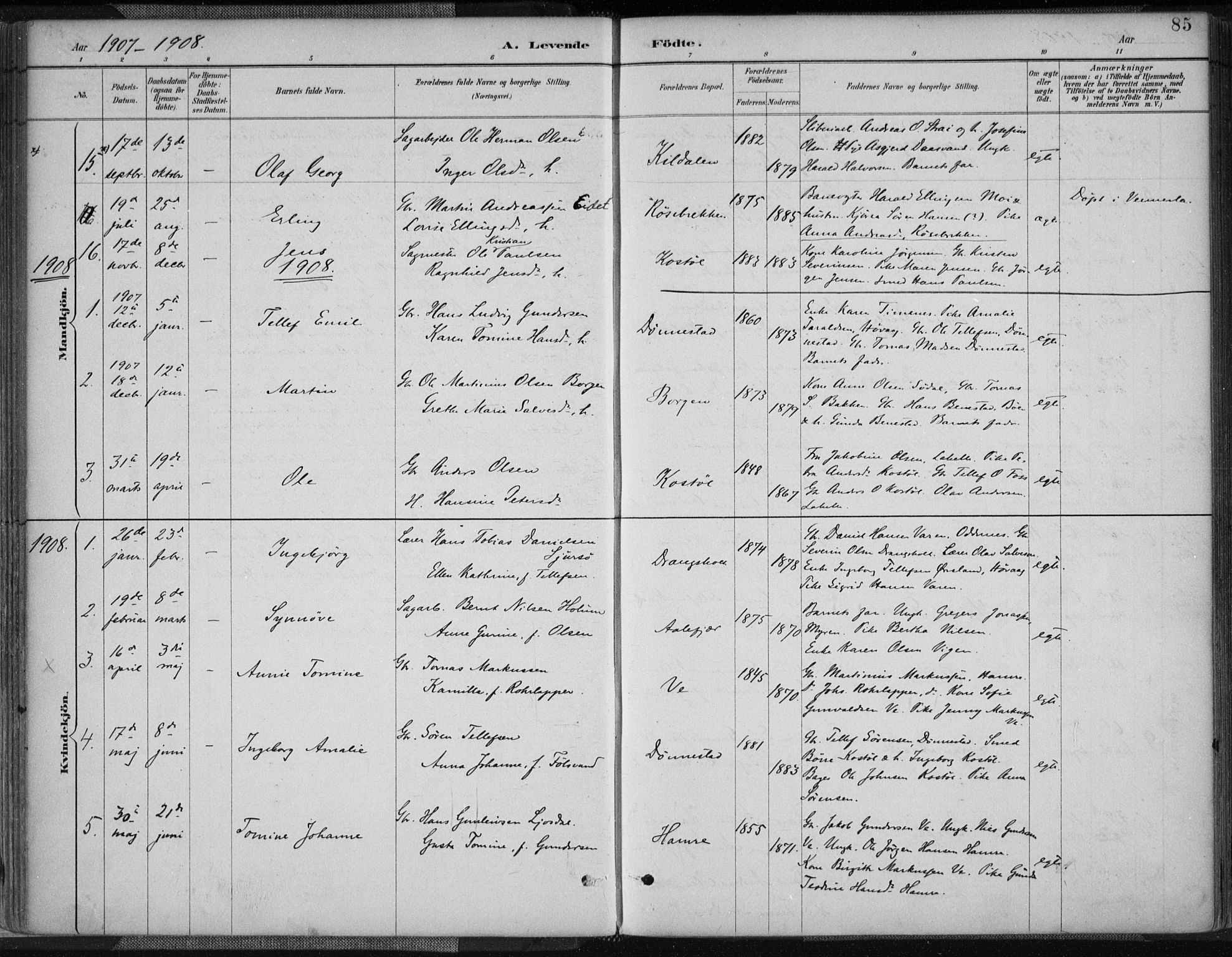 Tveit sokneprestkontor, AV/SAK-1111-0043/F/Fa/L0007: Parish register (official) no. A 7, 1887-1908, p. 85