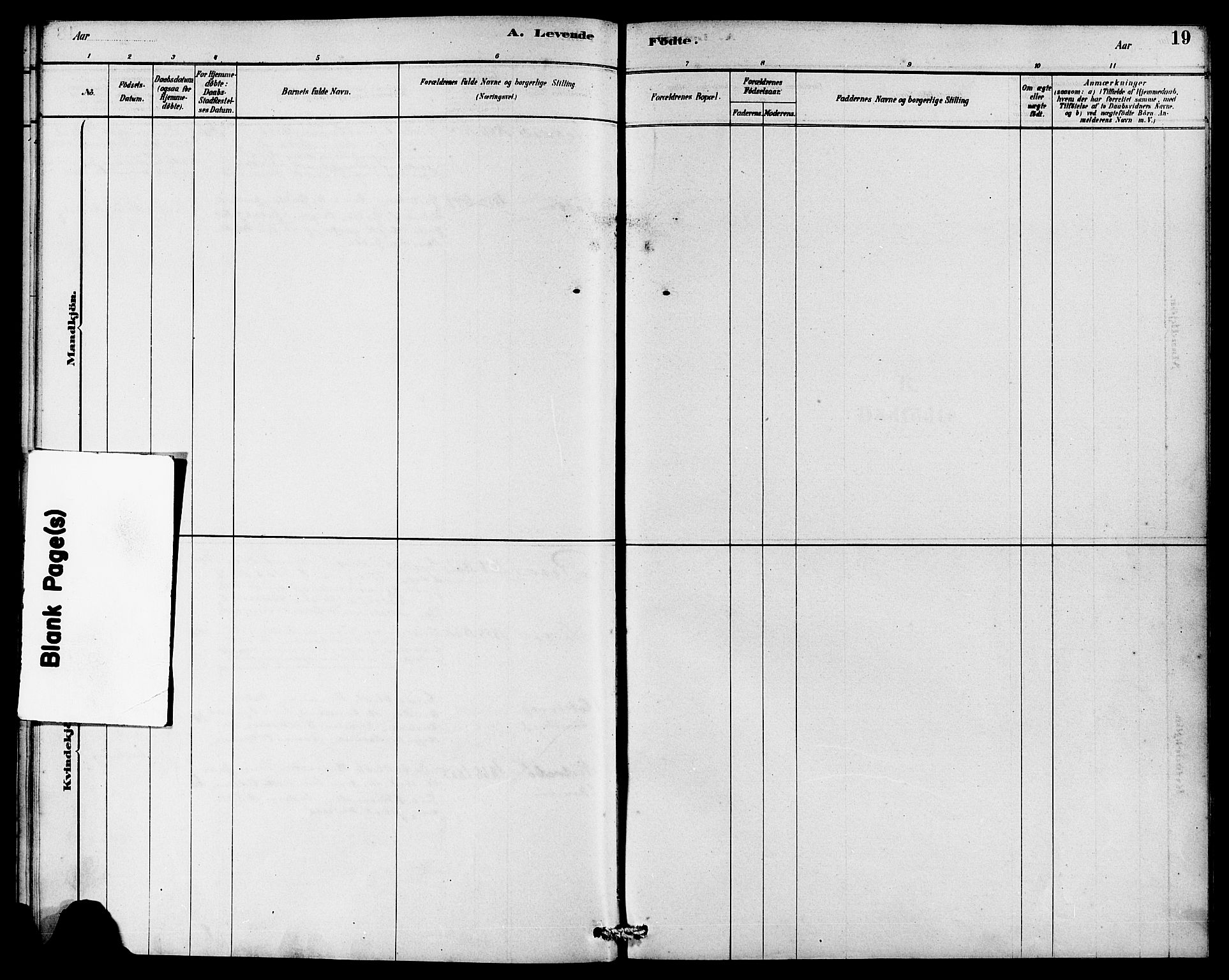 Rennesøy sokneprestkontor, SAST/A -101827/H/Ha/Haa/L0008: Parish register (official) no. A 8, 1878-1890, p. 19