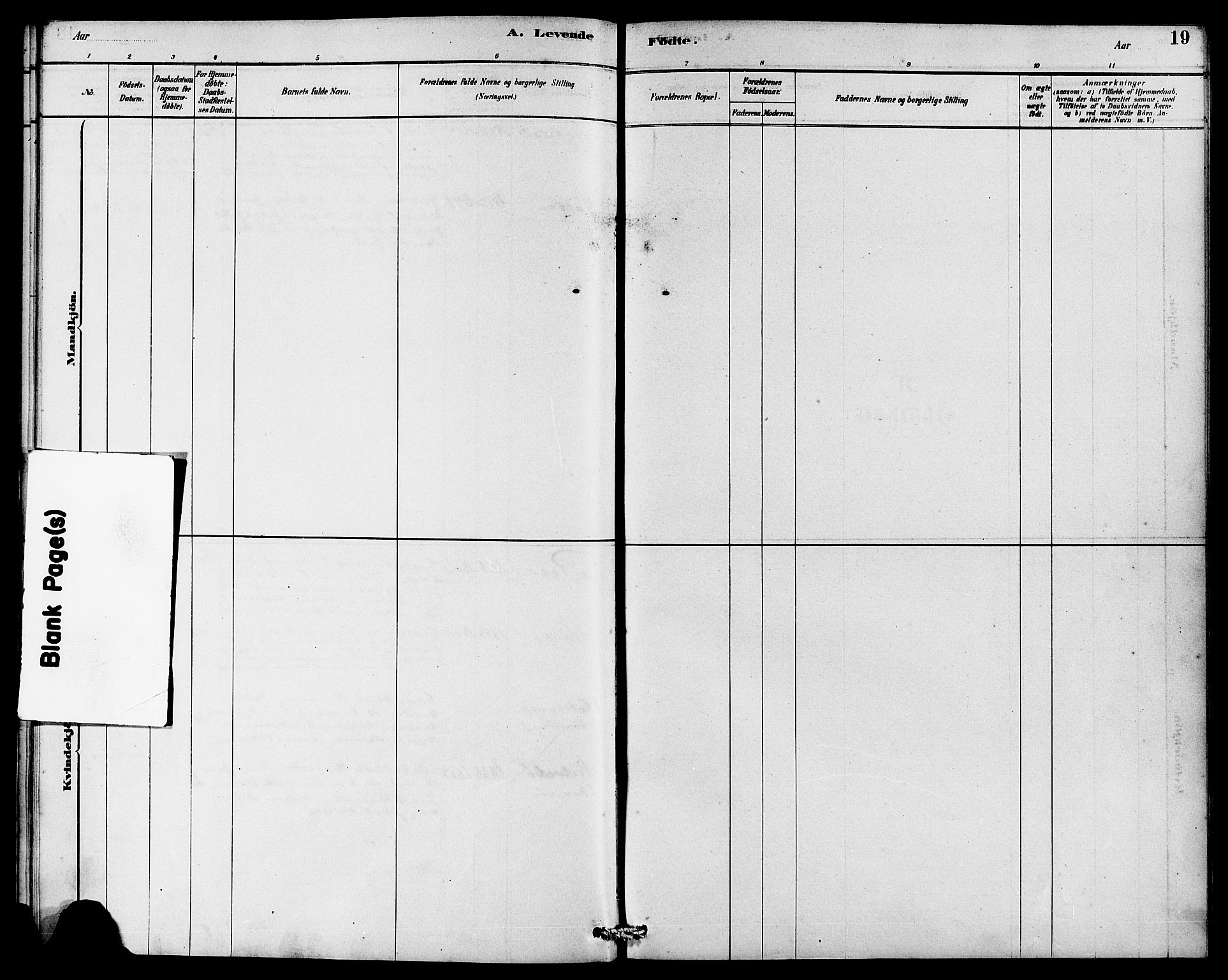 Rennesøy sokneprestkontor, AV/SAST-A -101827/H/Ha/Haa/L0008: Parish register (official) no. A 8, 1878-1890, p. 19