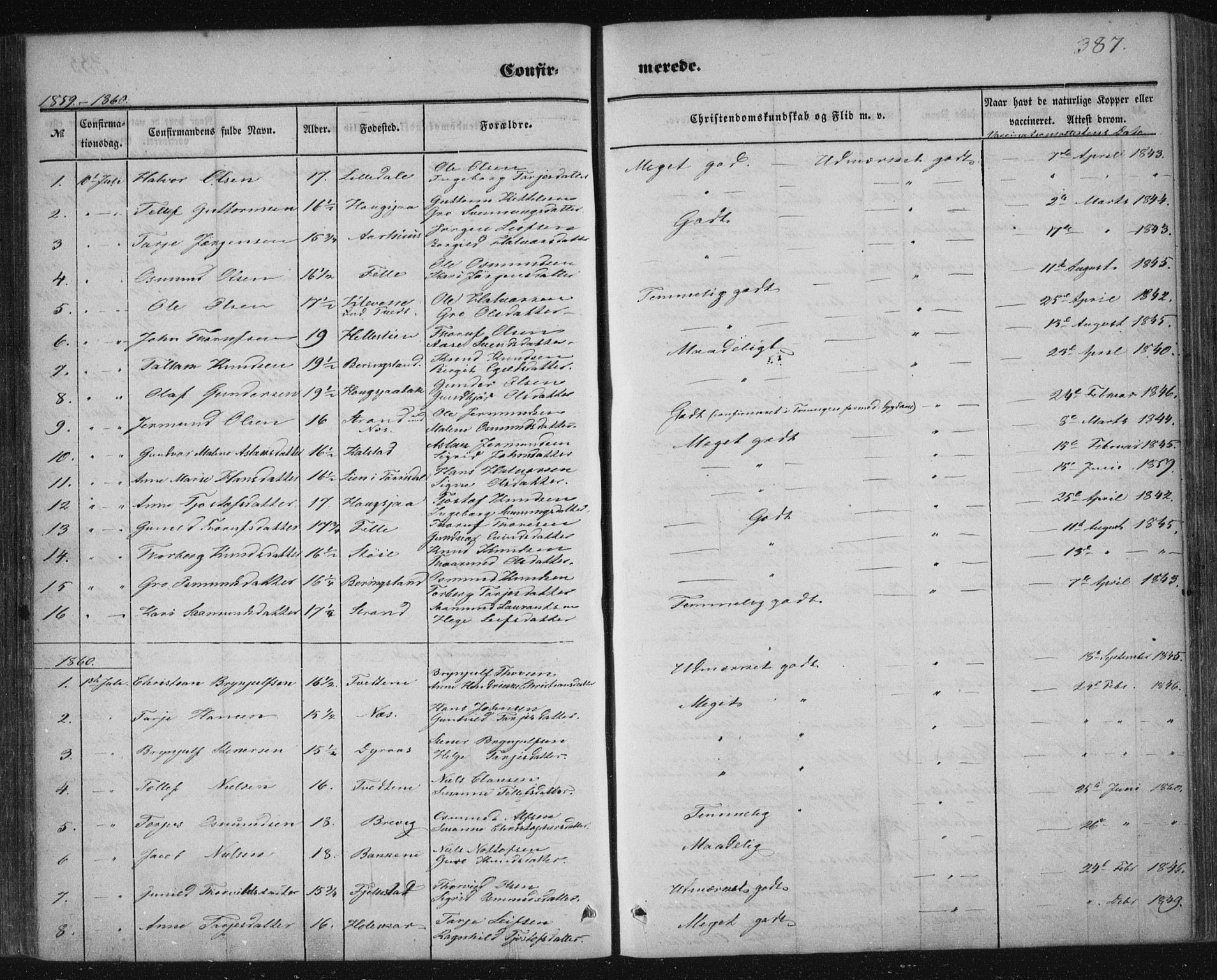 Nissedal kirkebøker, AV/SAKO-A-288/F/Fa/L0003: Parish register (official) no. I 3, 1846-1870, p. 386-387