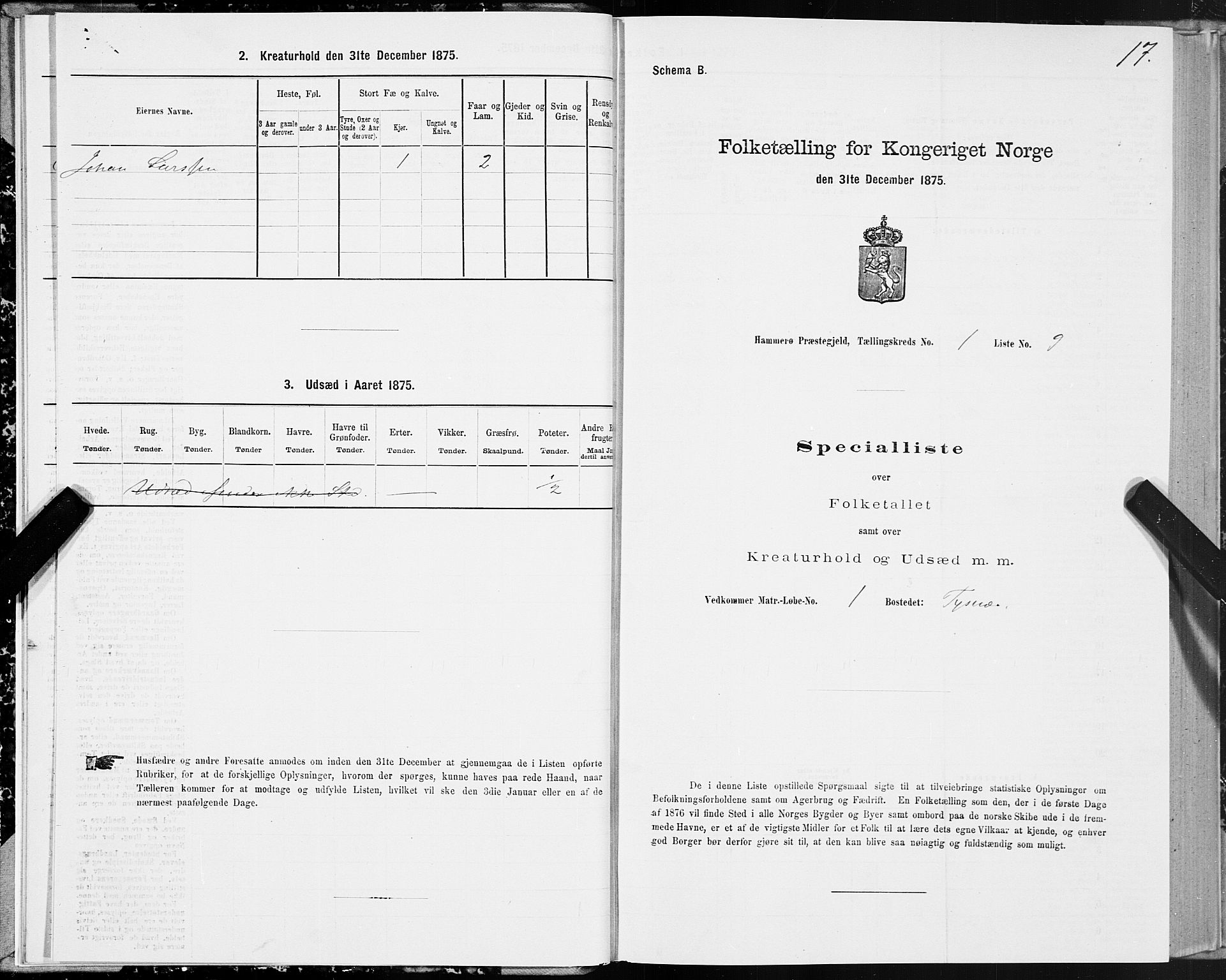 SAT, 1875 census for 1849P Hamarøy, 1875, p. 1017
