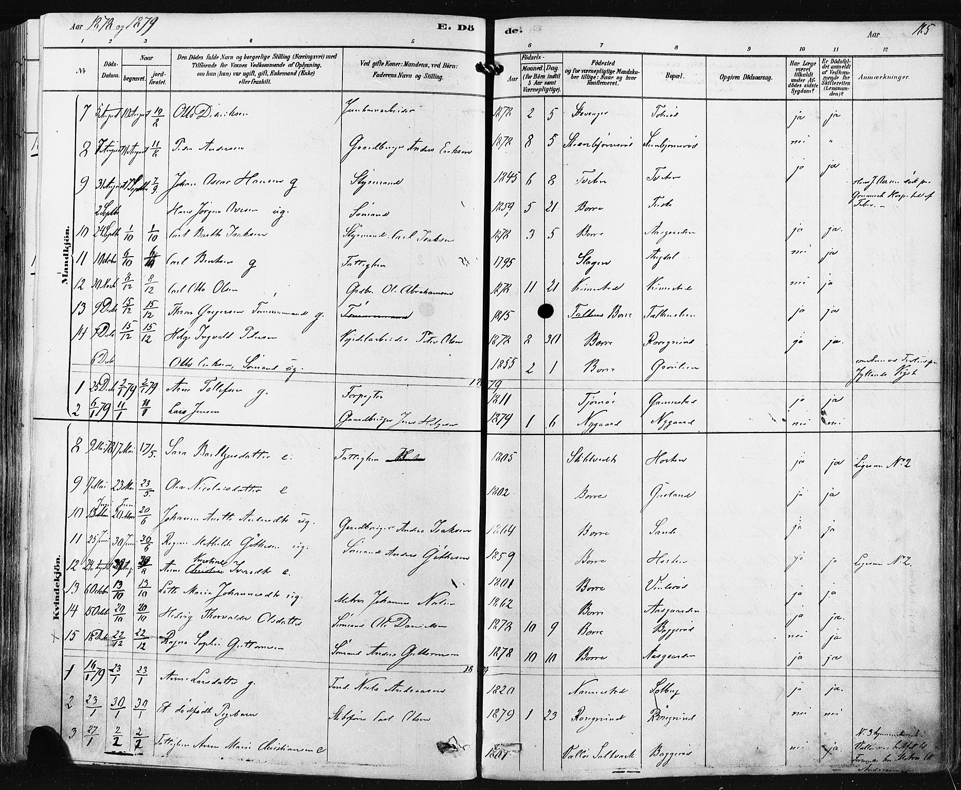 Borre kirkebøker, SAKO/A-338/F/Fa/L0009: Parish register (official) no. I 9, 1878-1896, p. 185