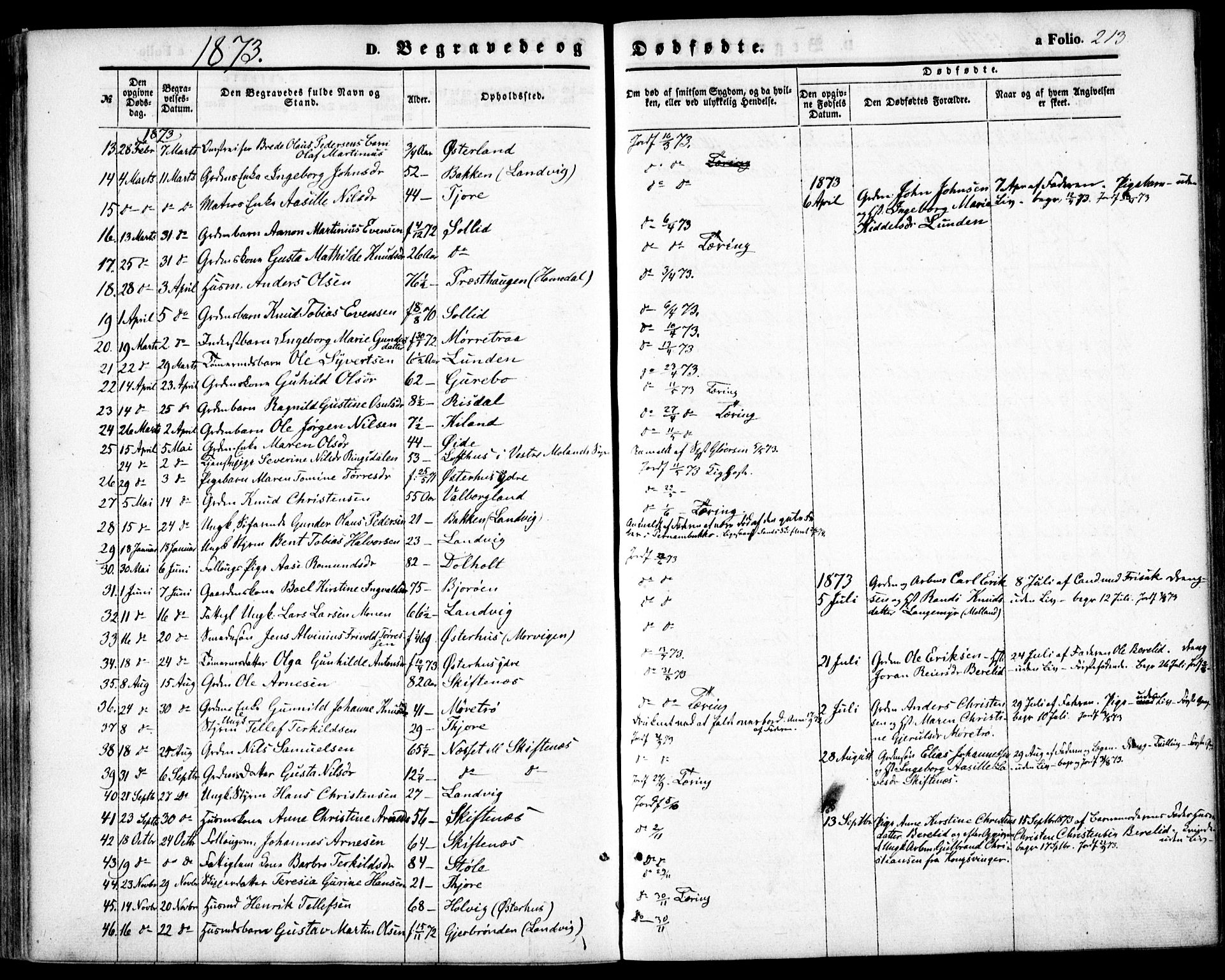 Hommedal sokneprestkontor, AV/SAK-1111-0023/F/Fa/Fab/L0005: Parish register (official) no. A 5, 1861-1877, p. 213