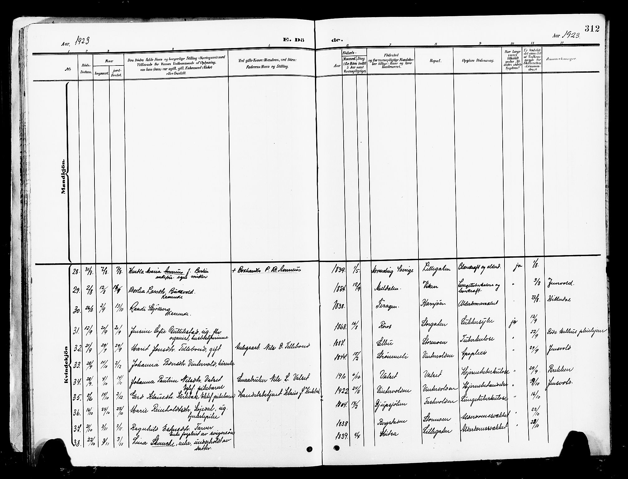 Ministerialprotokoller, klokkerbøker og fødselsregistre - Sør-Trøndelag, AV/SAT-A-1456/681/L0942: Parish register (copy) no. 681C06, 1906-1925, p. 312