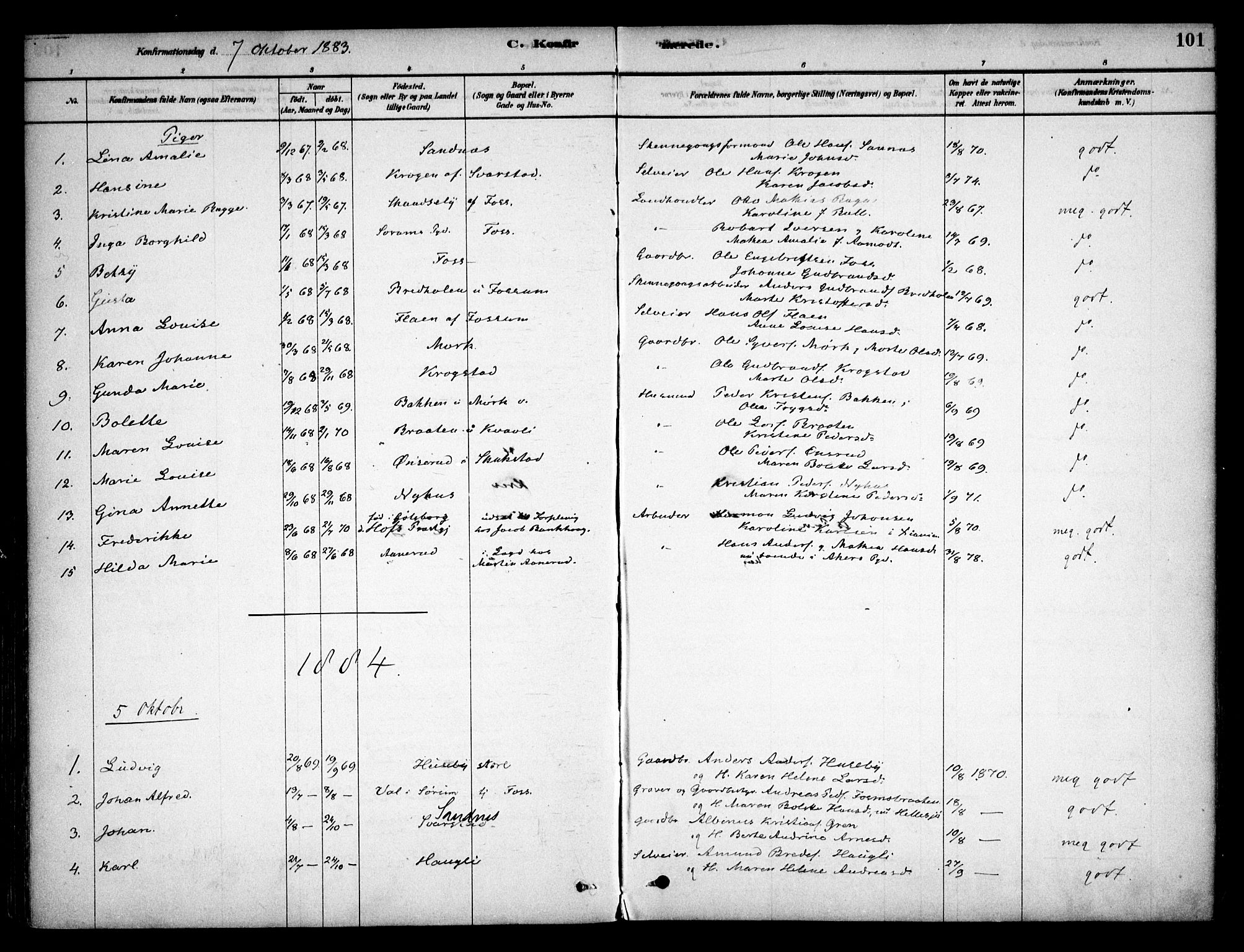 Aurskog prestekontor Kirkebøker, SAO/A-10304a/F/Fb/L0001: Parish register (official) no. II 1, 1878-1909, p. 101