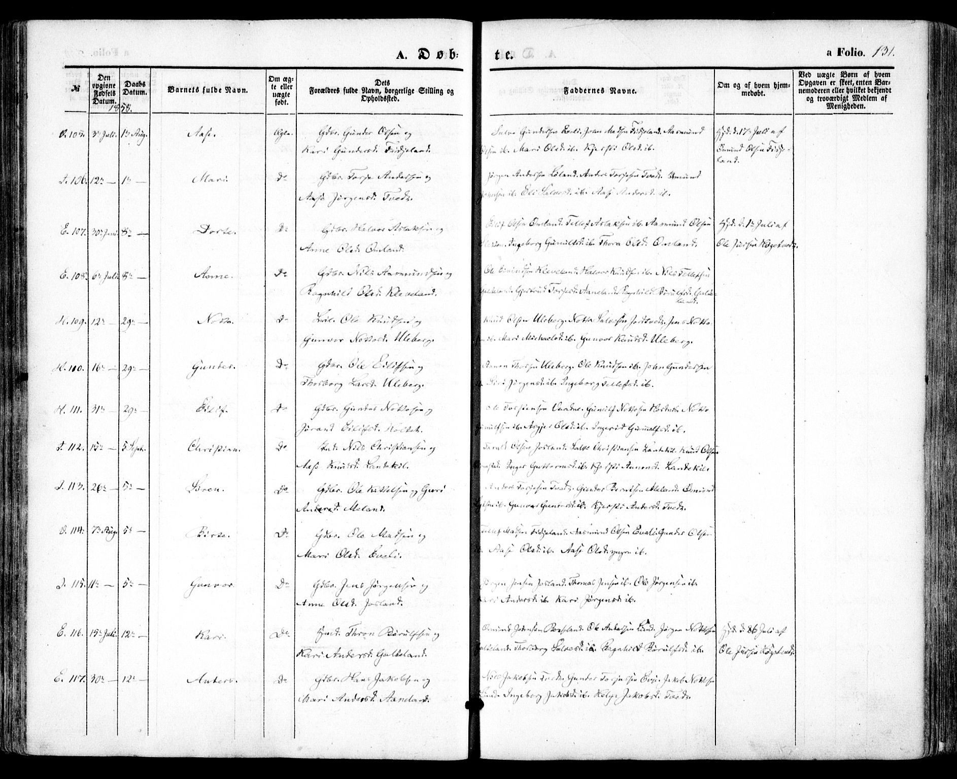 Evje sokneprestkontor, AV/SAK-1111-0008/F/Fa/Faa/L0005: Parish register (official) no. A 5, 1843-1865, p. 131