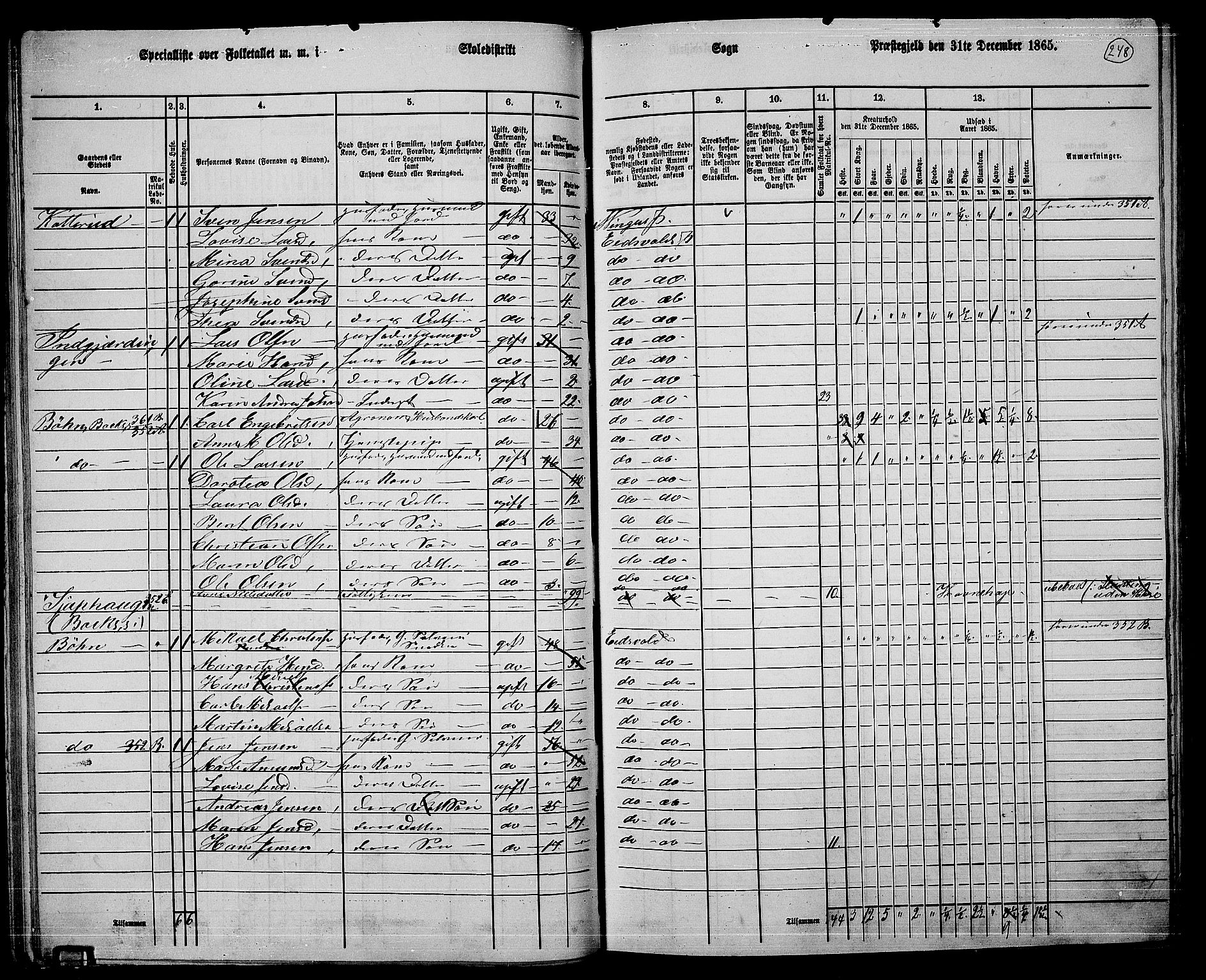 RA, 1865 census for Eidsvoll, 1865, p. 223