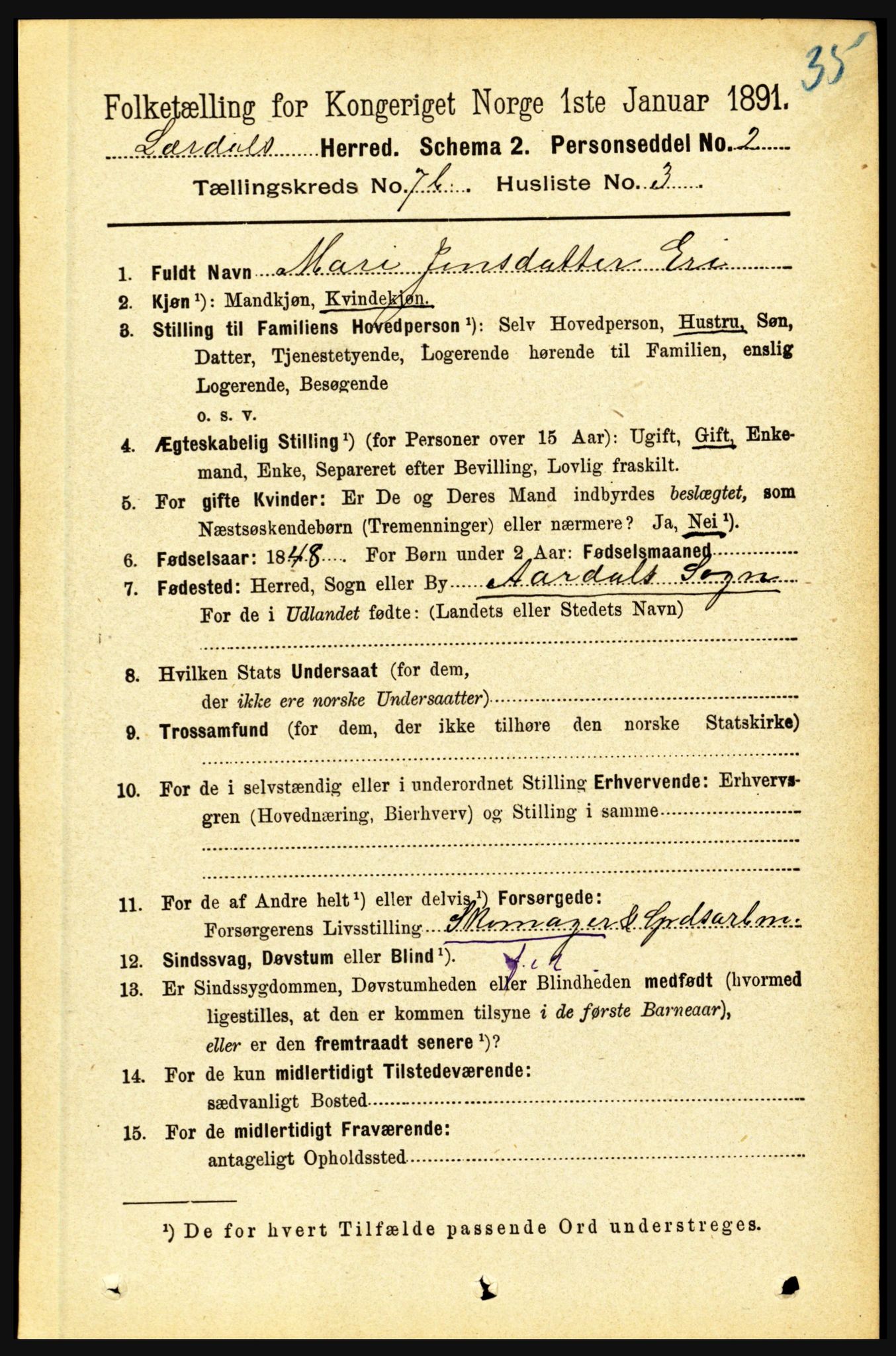 RA, 1891 census for 1422 Lærdal, 1891, p. 1151