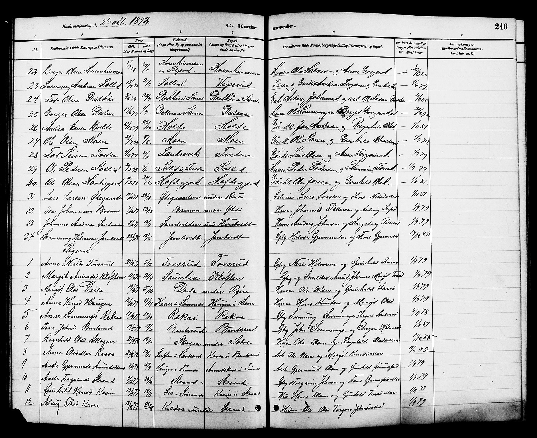 Heddal kirkebøker, SAKO/A-268/G/Ga/L0002: Parish register (copy) no. I 2, 1879-1908, p. 246