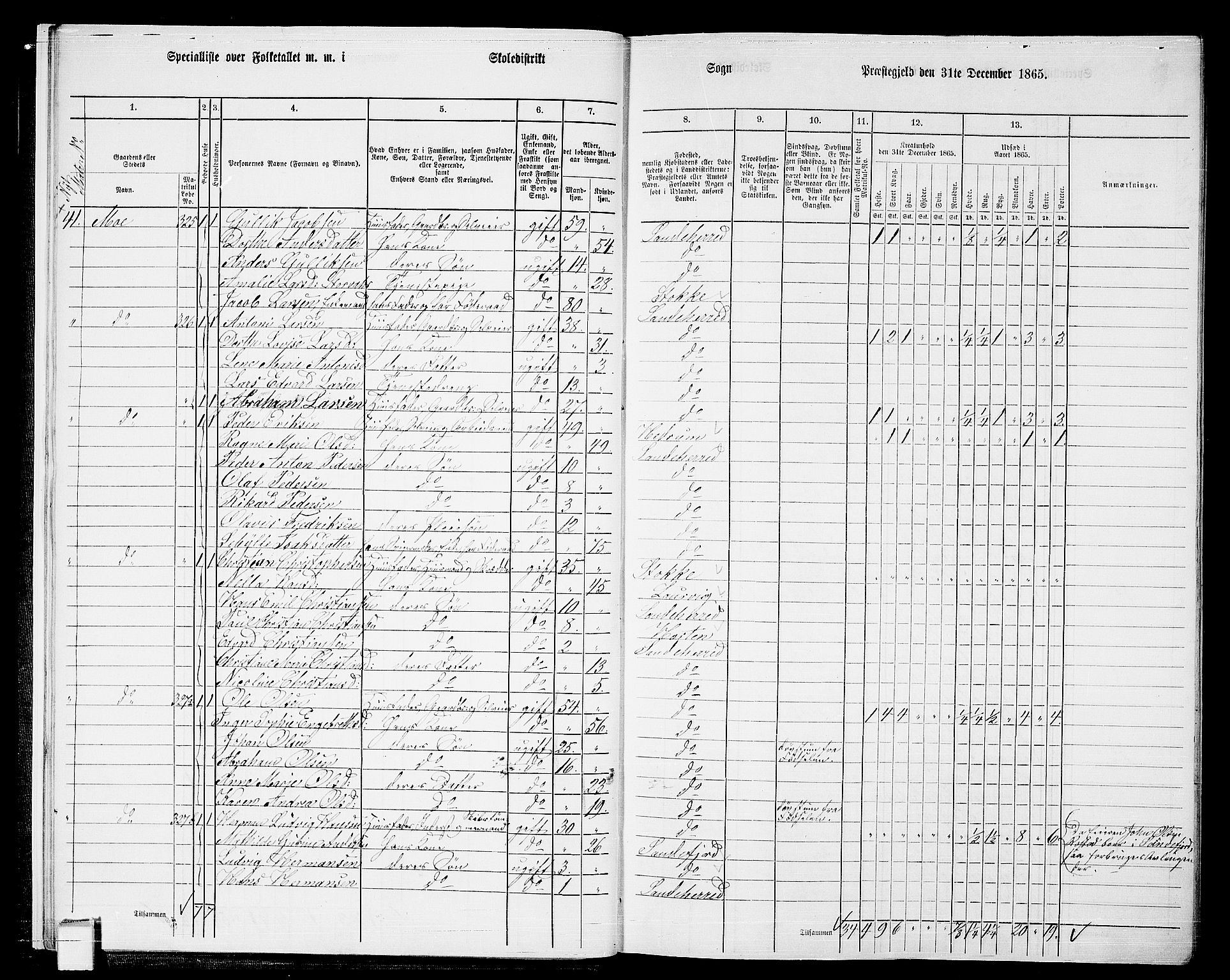 RA, 1865 census for Sandeherred/Sandeherred, 1865, p. 13