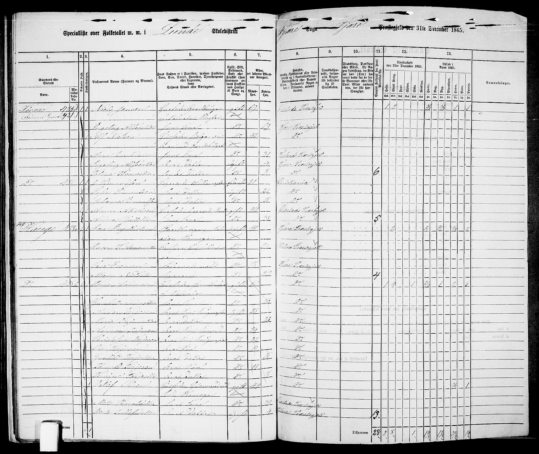 RA, 1865 census for Fjære/Fjære, 1865, p. 166