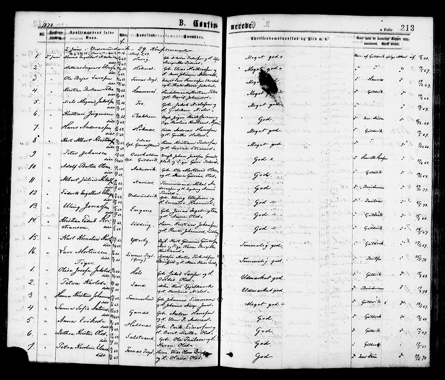 Ministerialprotokoller, klokkerbøker og fødselsregistre - Nord-Trøndelag, SAT/A-1458/768/L0572: Parish register (official) no. 768A07, 1874-1886, p. 213