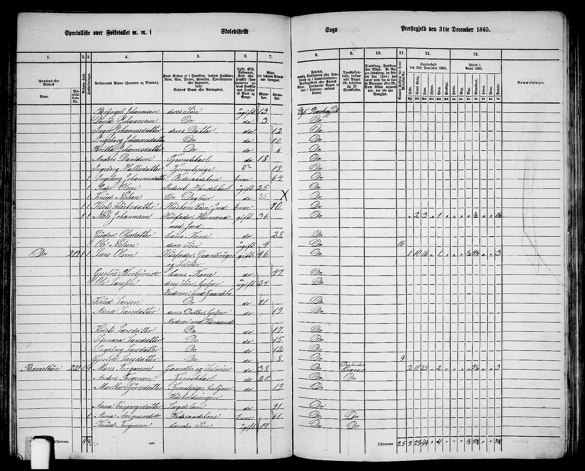 RA, 1865 census for Voss, 1865, p. 114