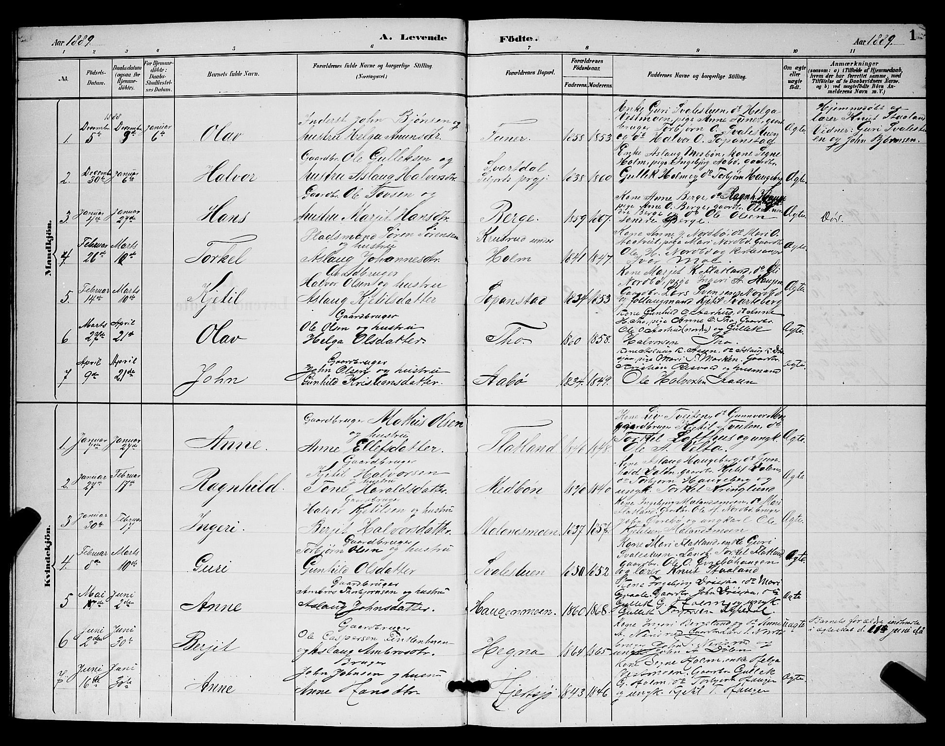 Hjartdal kirkebøker, SAKO/A-270/G/Ga/L0003: Parish register (copy) no. I 3, 1889-1896, p. 1