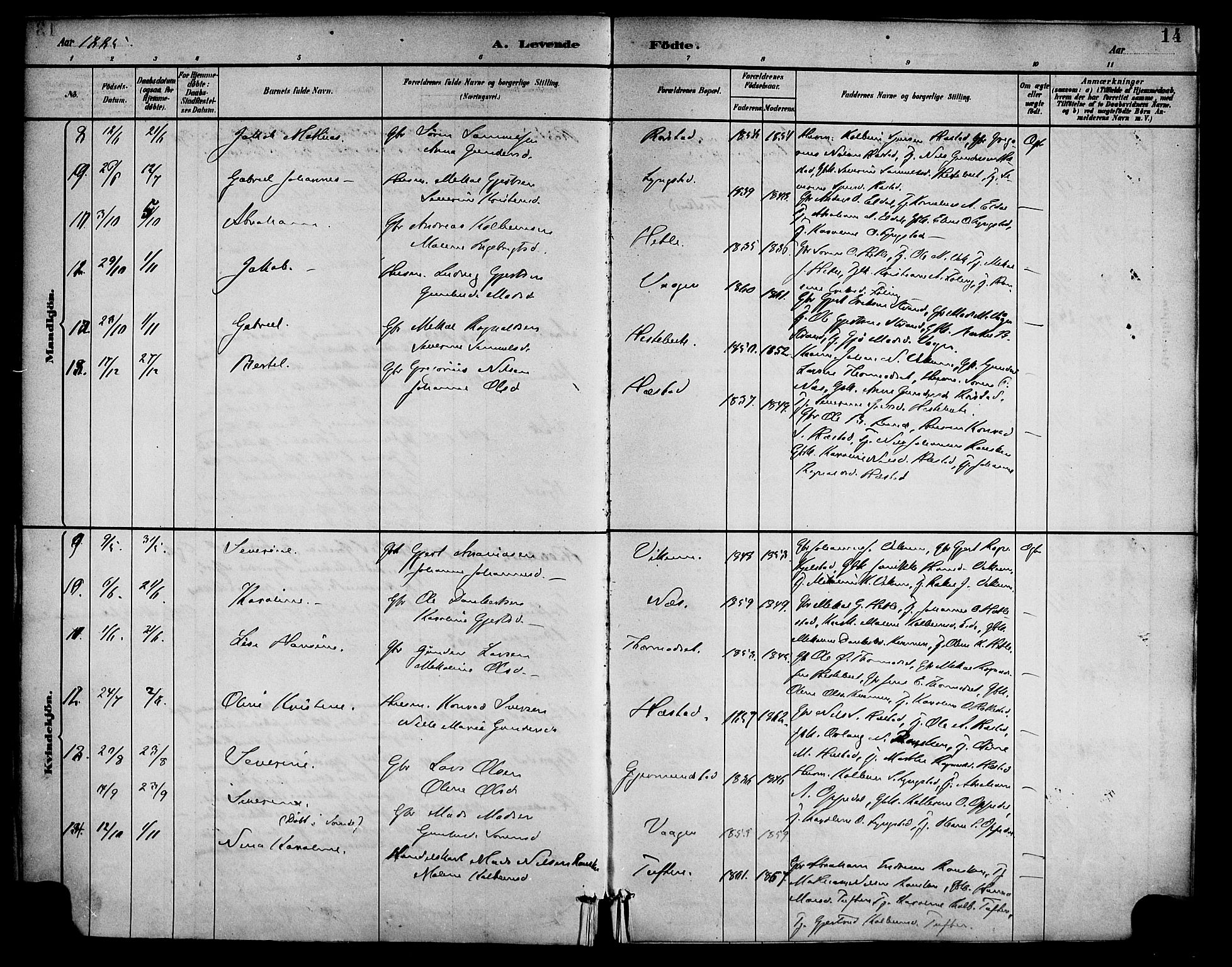 Gaular sokneprestembete, AV/SAB-A-80001/H/Haa: Parish register (official) no. D 1, 1882-1899, p. 14