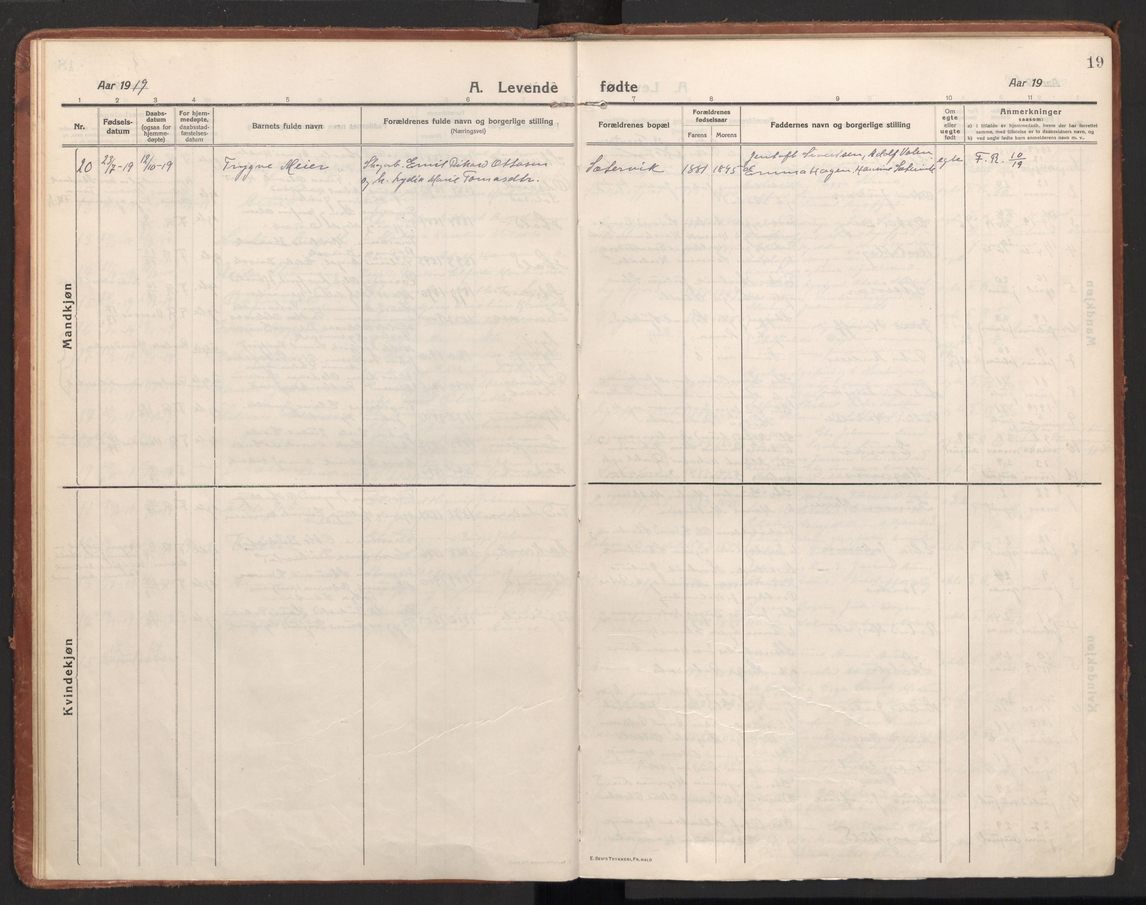 Ministerialprotokoller, klokkerbøker og fødselsregistre - Nordland, AV/SAT-A-1459/811/L0168: Parish register (official) no. 811A05, 1914-1932, p. 19