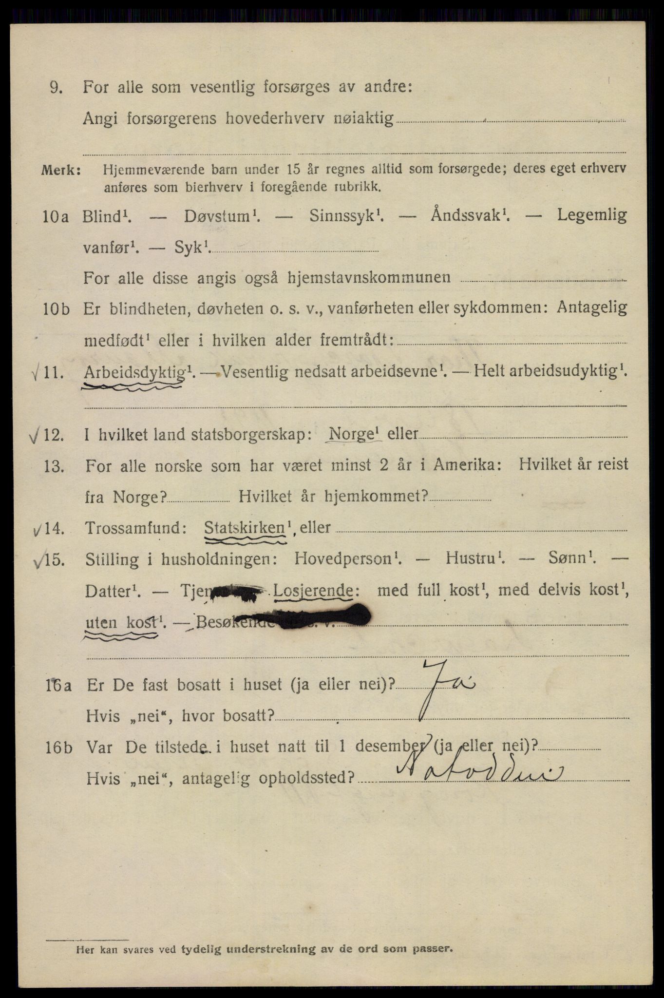 SAO, 1920 census for Kristiania, 1920, p. 229052