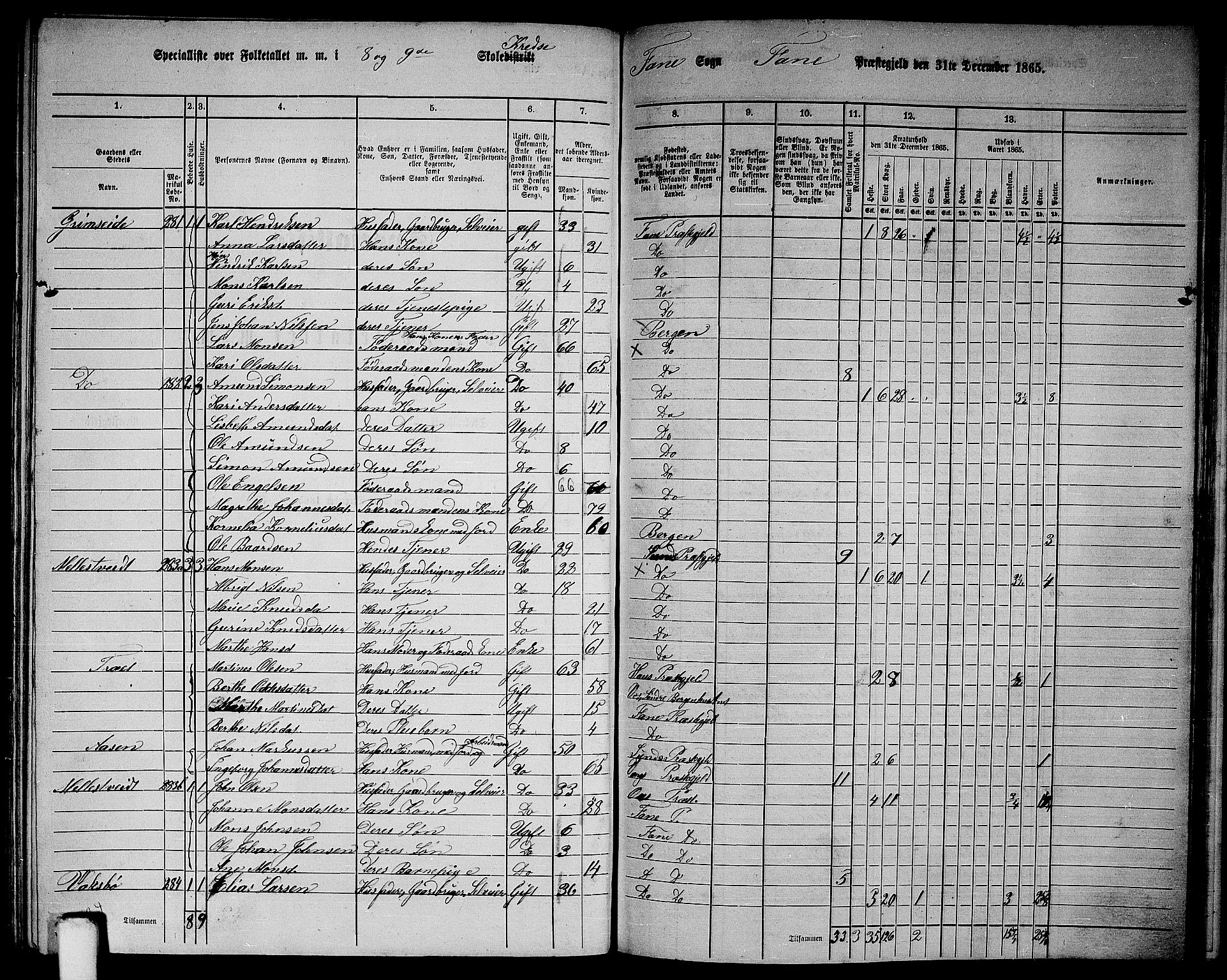 RA, 1865 census for Fana, 1865, p. 134