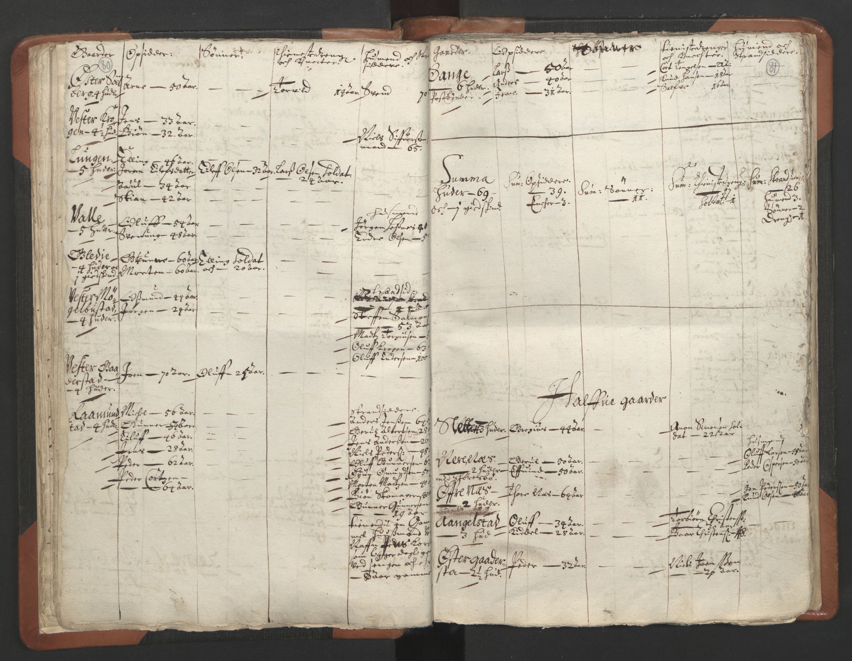 RA, Vicar's Census 1664-1666, no. 13: Nedenes deanery, 1664-1666, p. 80-81