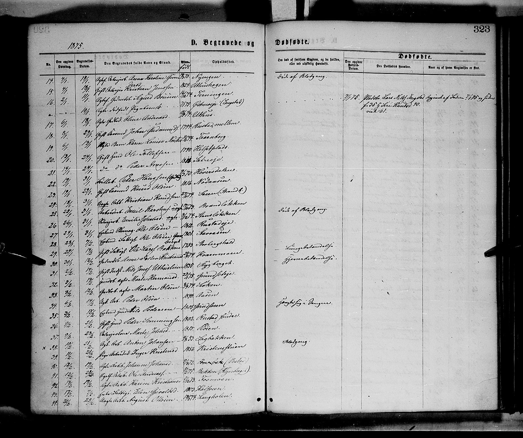 Elverum prestekontor, SAH/PREST-044/H/Ha/Haa/L0011: Parish register (official) no. 11, 1869-1879, p. 323