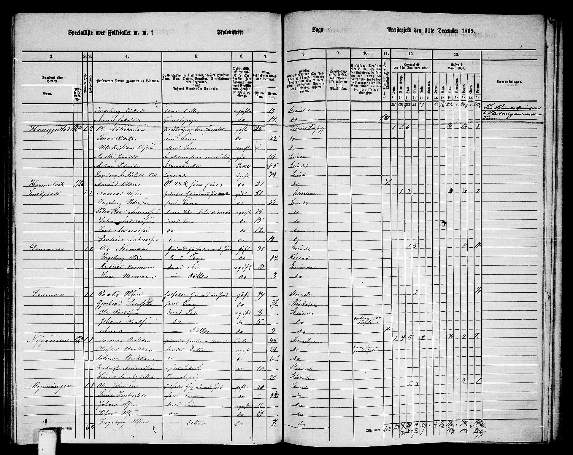 RA, 1865 census for Strinda, 1865, p. 245