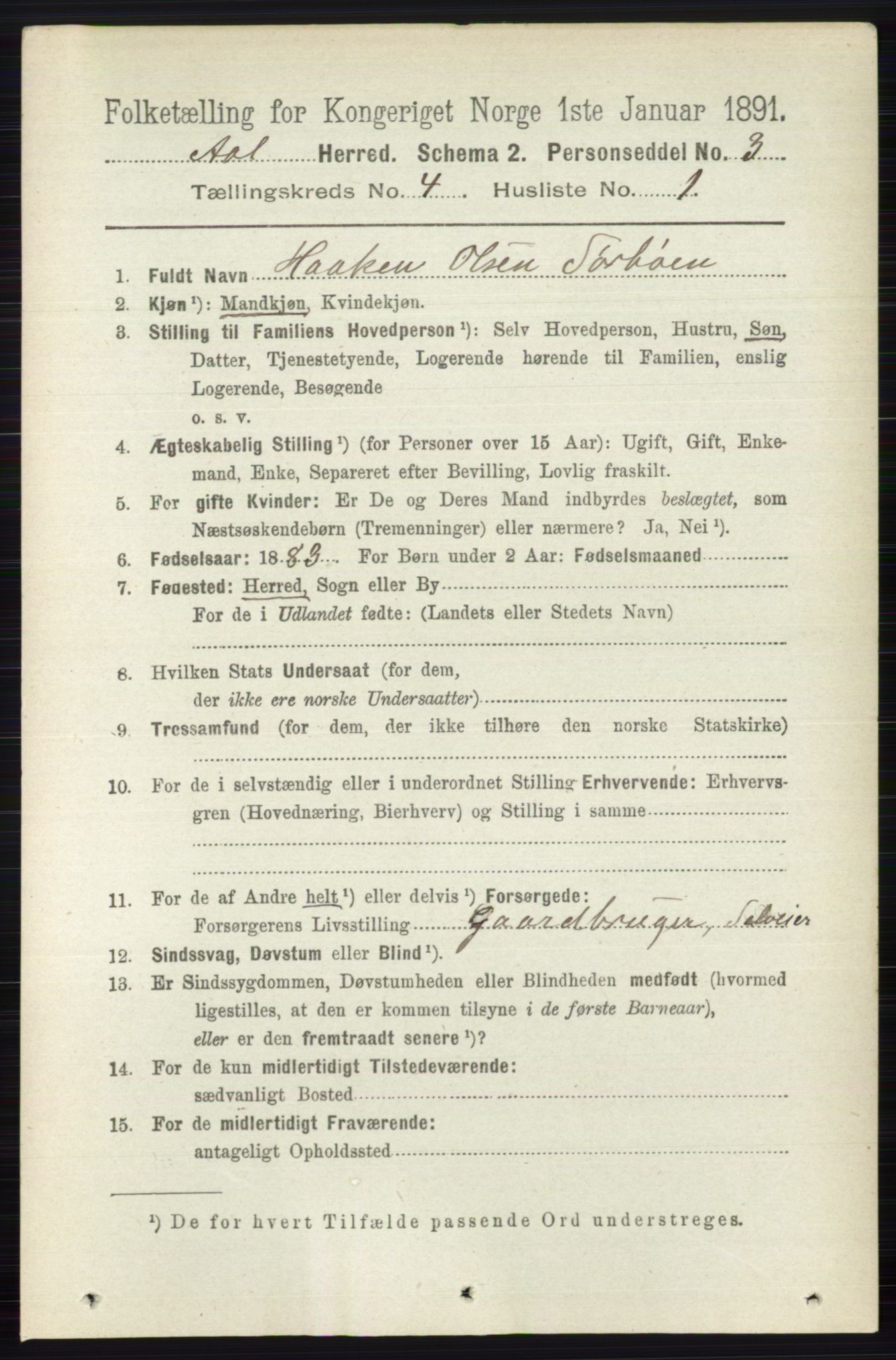 RA, 1891 census for 0619 Ål, 1891, p. 1036