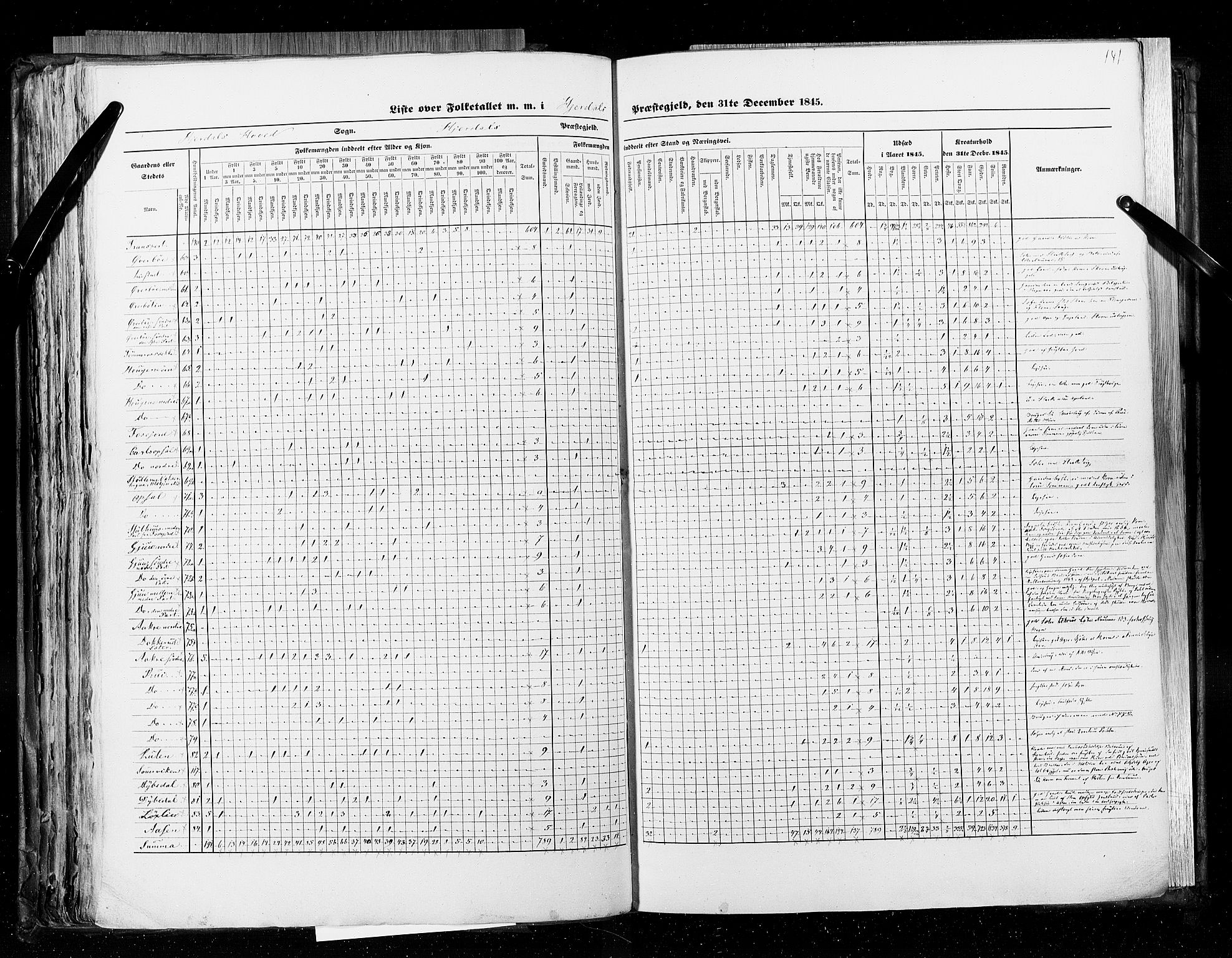 RA, Census 1845, vol. 5: Bratsberg amt og Nedenes og Råbyggelaget amt, 1845, p. 141