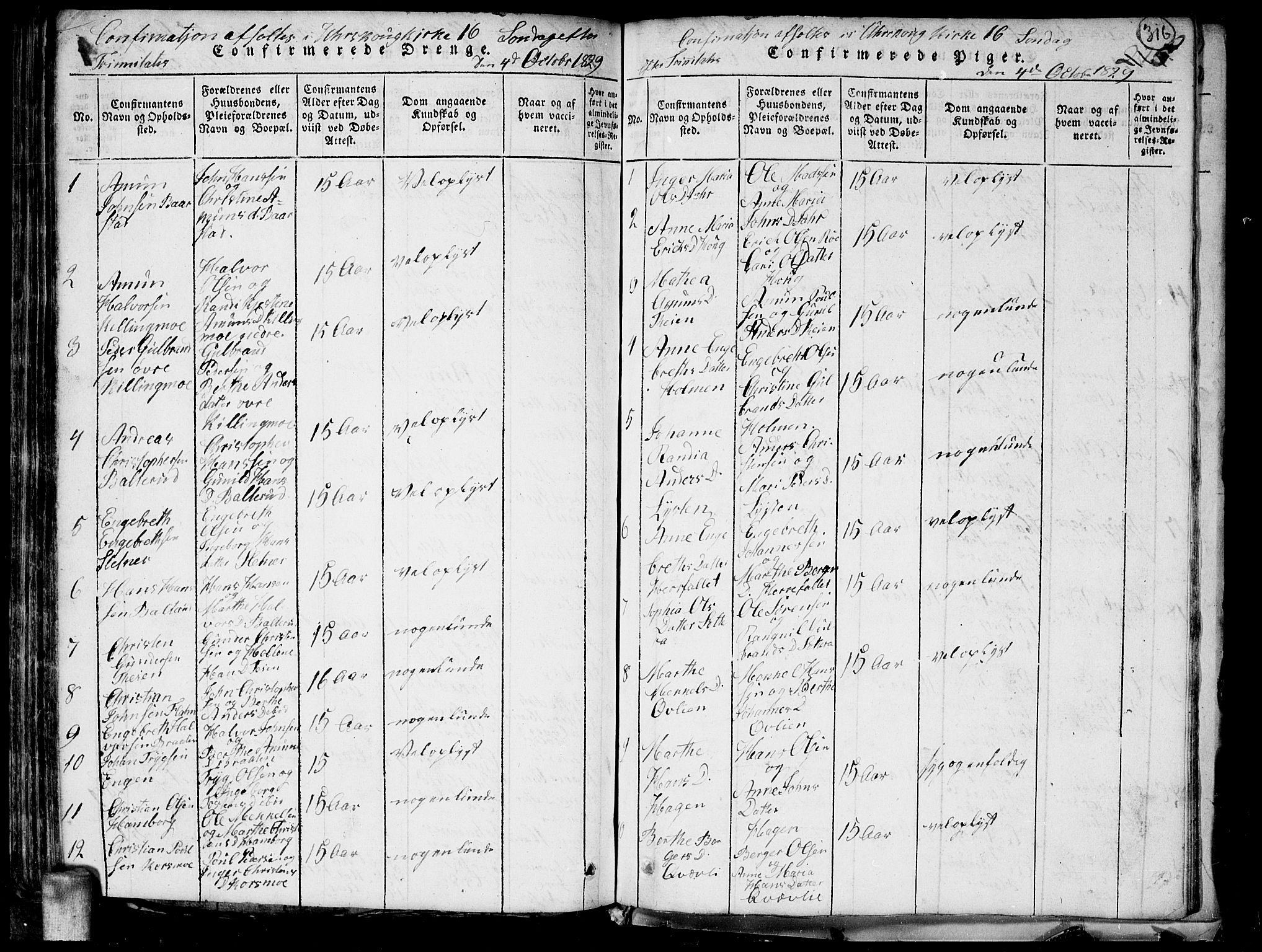 Aurskog prestekontor Kirkebøker, AV/SAO-A-10304a/G/Ga/L0001: Parish register (copy) no. I 1, 1814-1829, p. 316