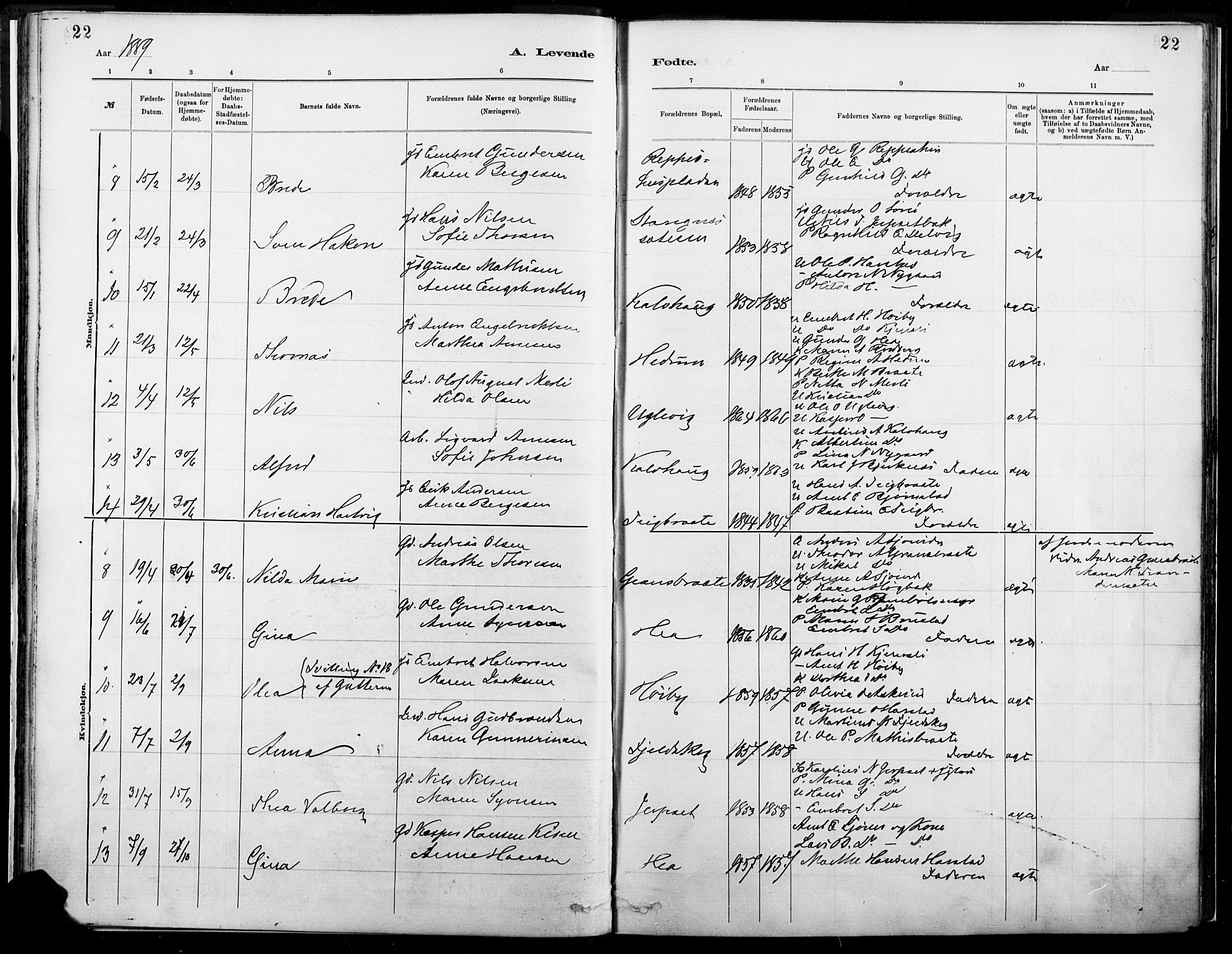 Eidskog prestekontor, SAH/PREST-026/H/Ha/Haa/L0004: Parish register (official) no. 4, 1884-1897, p. 22
