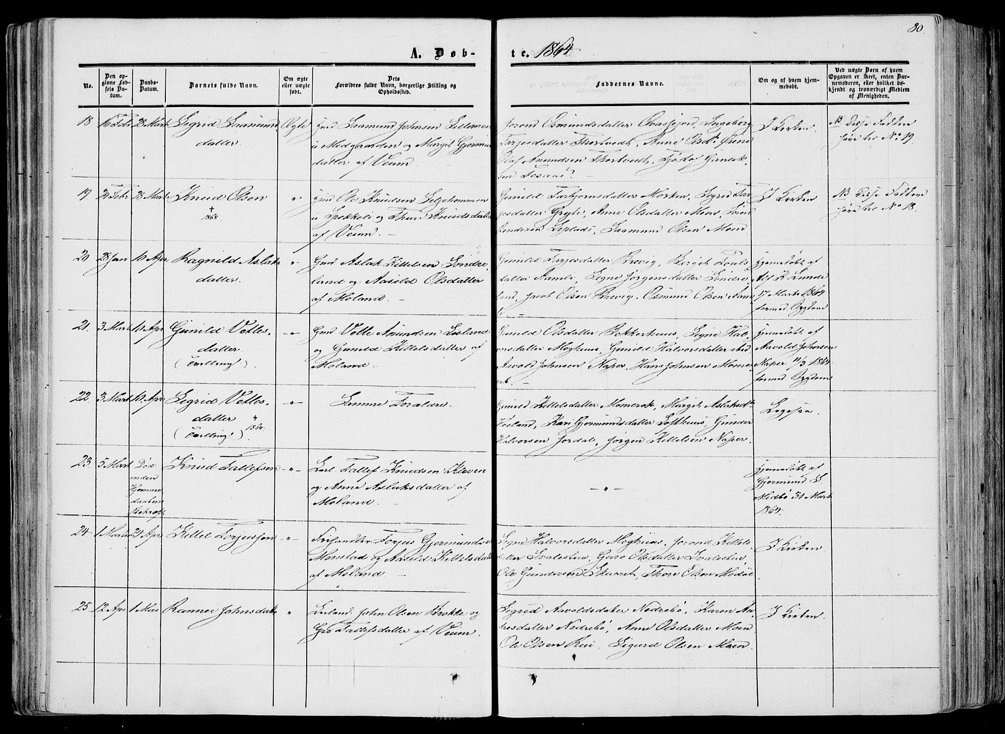 Fyresdal kirkebøker, AV/SAKO-A-263/F/Fa/L0005: Parish register (official) no. I 5, 1855-1871, p. 80