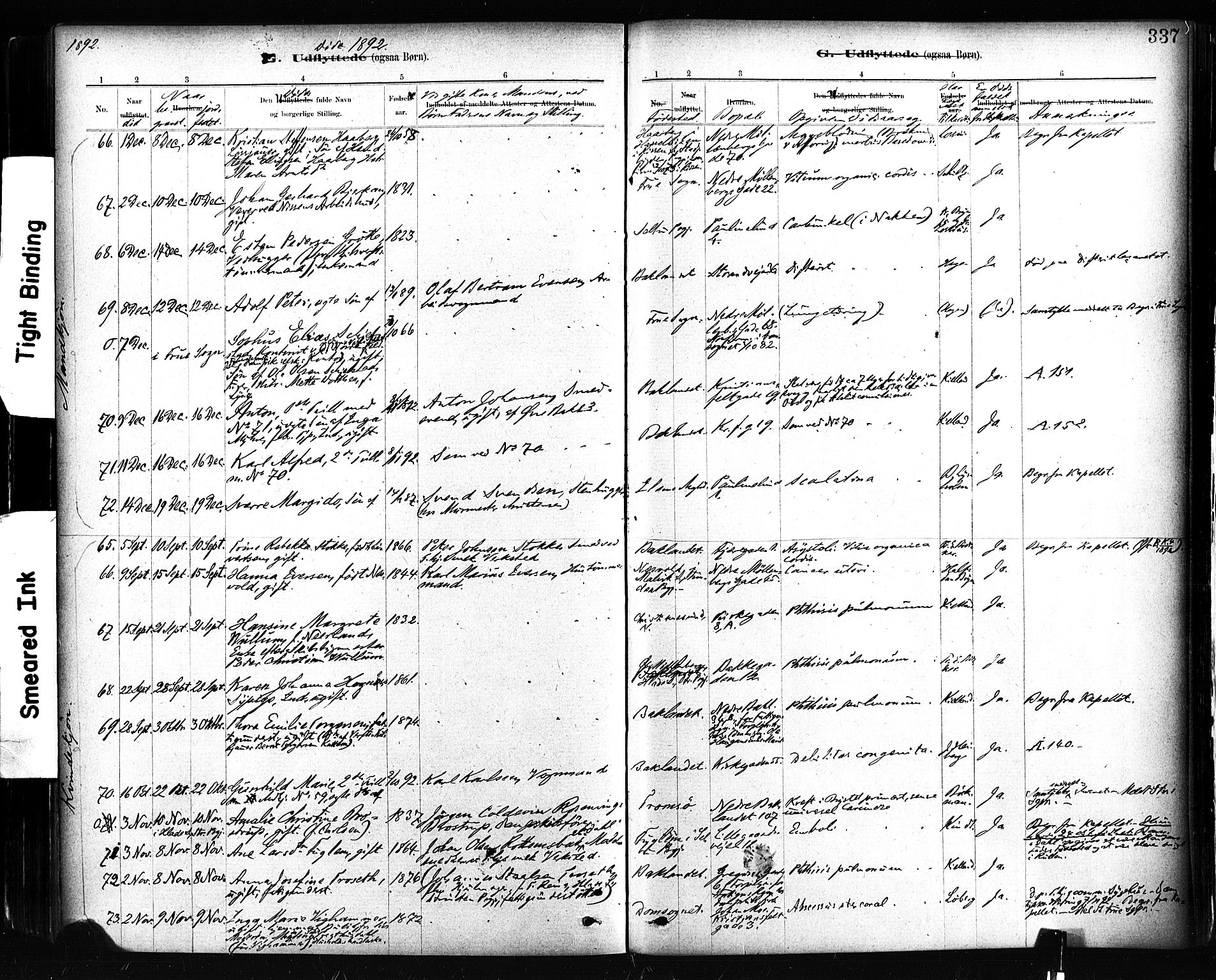 Ministerialprotokoller, klokkerbøker og fødselsregistre - Sør-Trøndelag, AV/SAT-A-1456/604/L0189: Parish register (official) no. 604A10, 1878-1892, p. 337