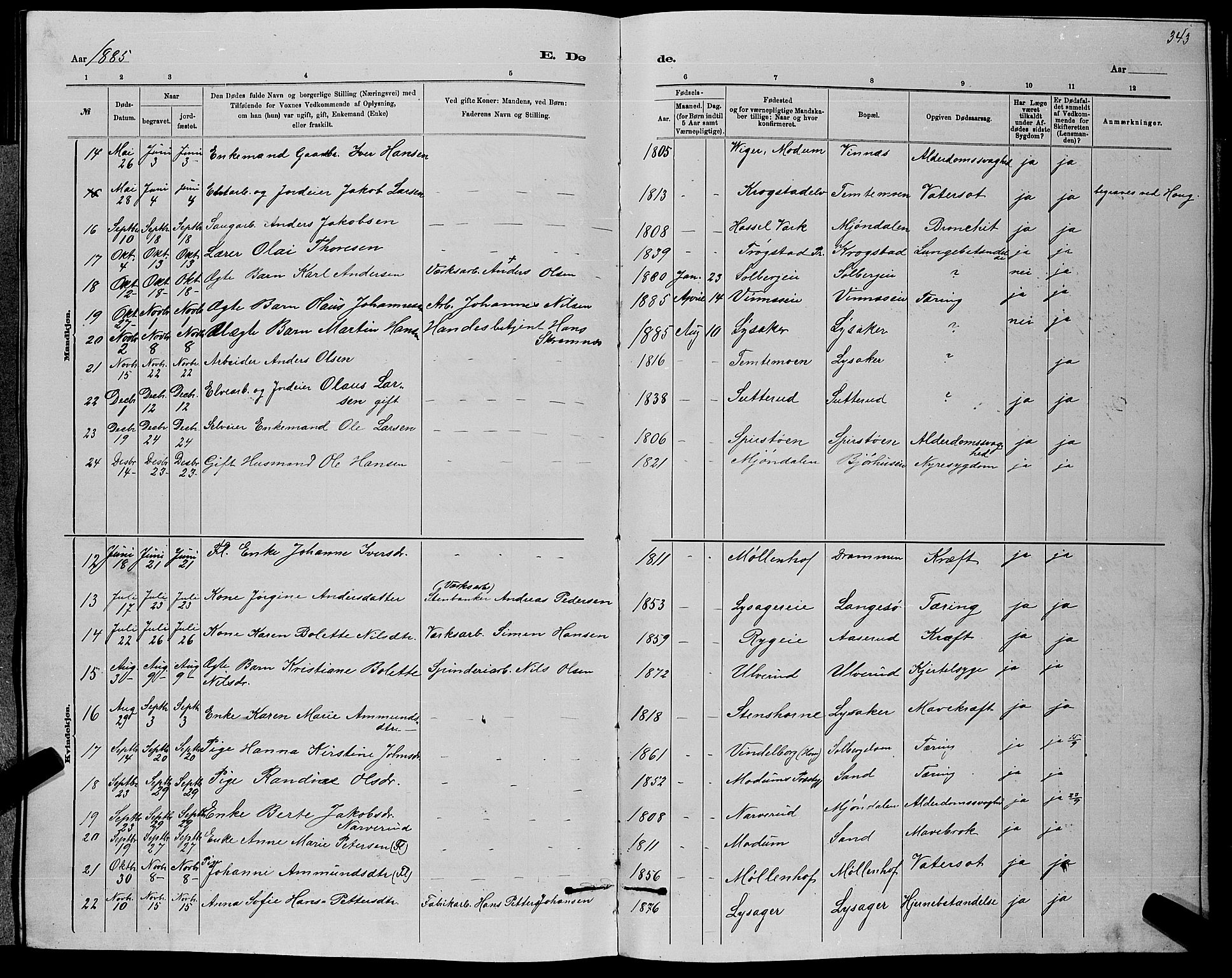 Nedre Eiker kirkebøker, AV/SAKO-A-612/G/Ga/L0002: Parish register (copy) no. 2, 1880-1896, p. 343