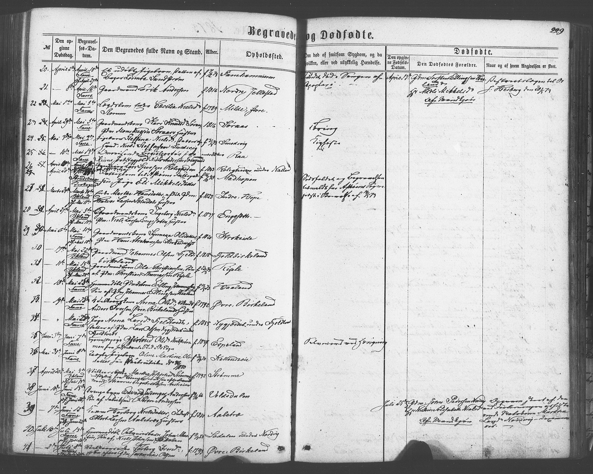 Fana Sokneprestembete, AV/SAB-A-75101/H/Haa/Haaa/L0012: Parish register (official) no. A 12, 1862-1878, p. 229