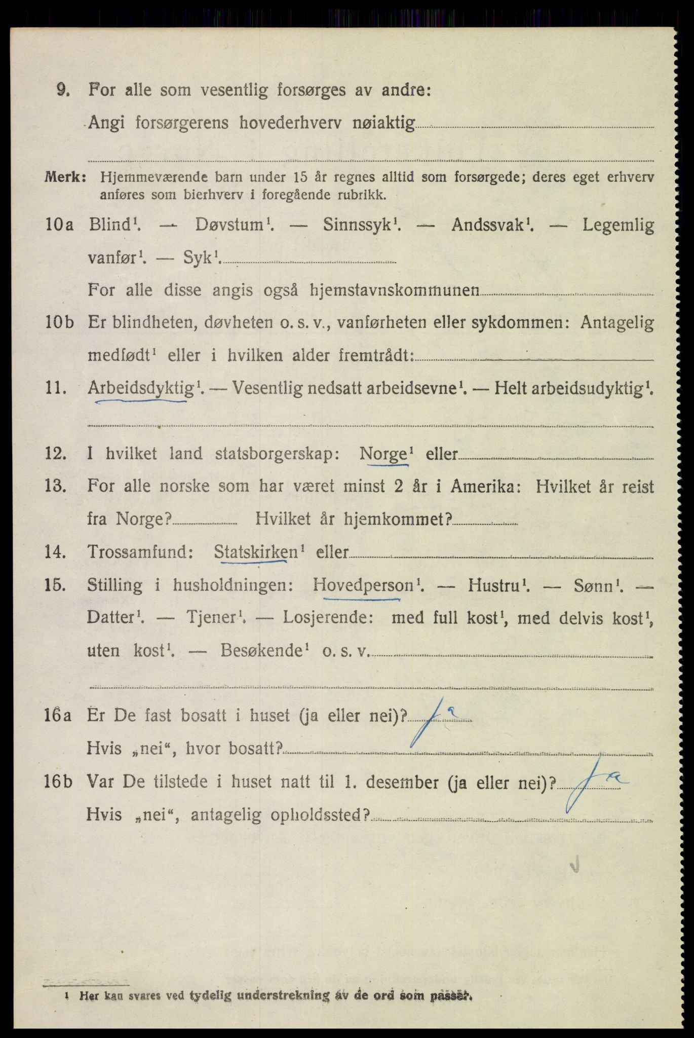 SAH, 1920 census for Nes (Hedmark), 1920, p. 5411