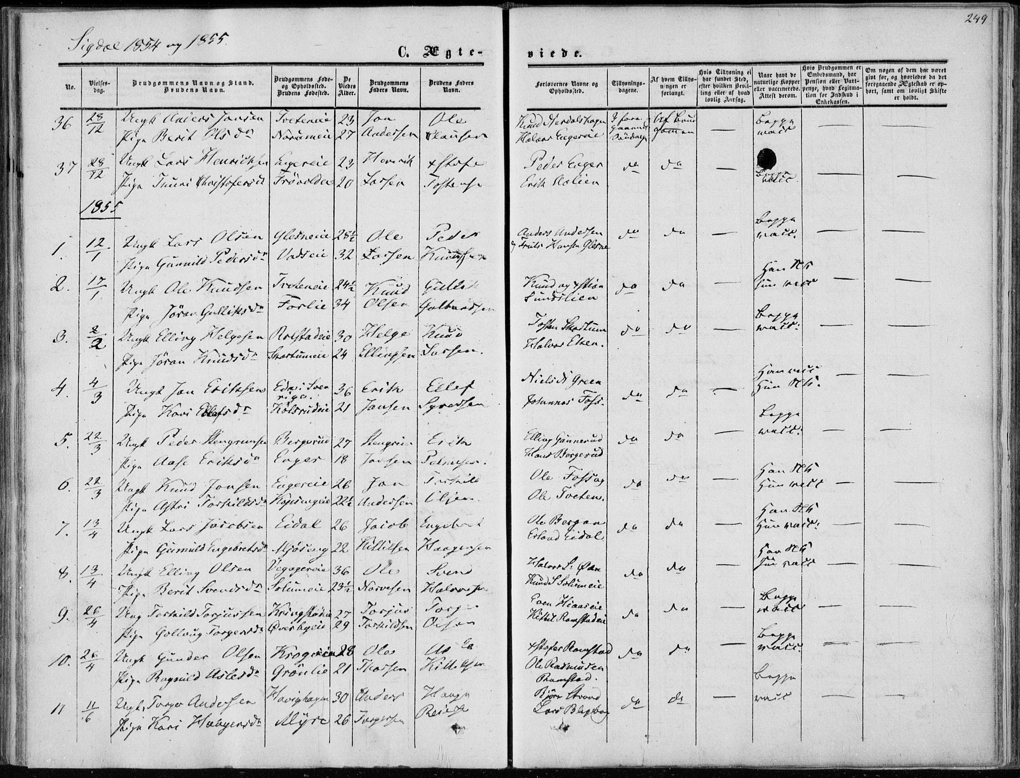 Sigdal kirkebøker, SAKO/A-245/F/Fa/L0008: Parish register (official) no. I 8, 1850-1859, p. 249