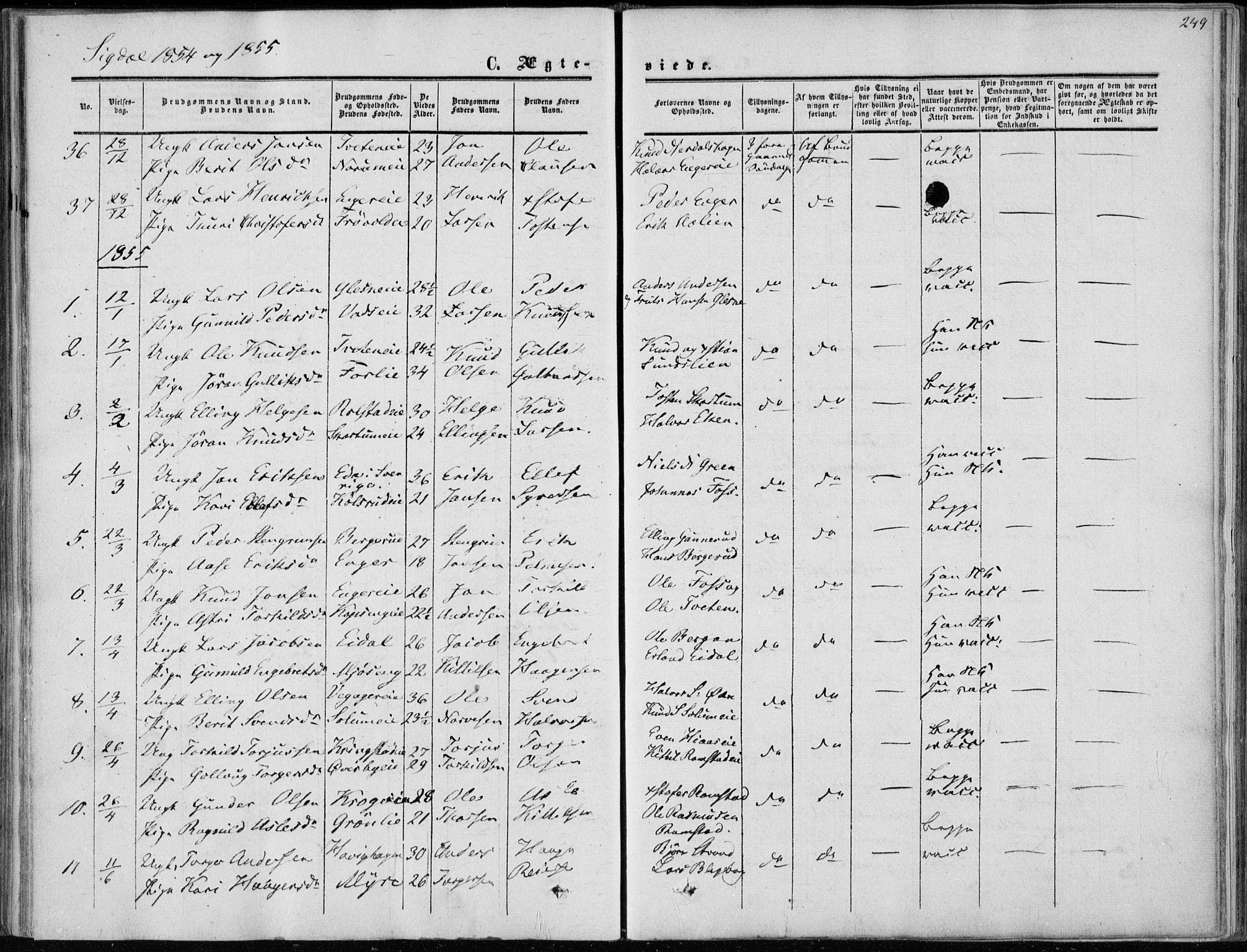 Sigdal kirkebøker, AV/SAKO-A-245/F/Fa/L0008: Parish register (official) no. I 8, 1850-1859, p. 249