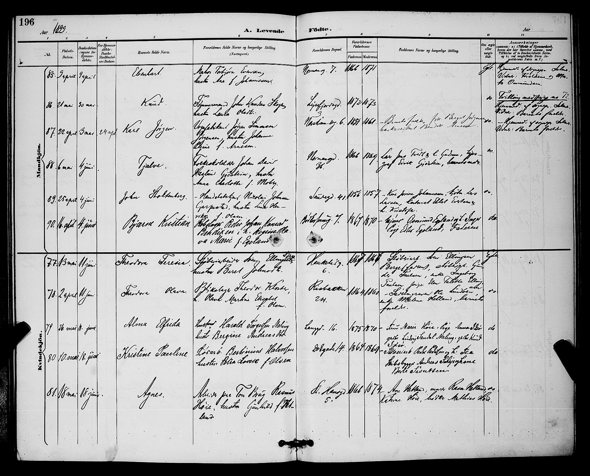 St. Johannes sokneprestkontor, SAST/A-101814/001/30/30BB/L0003: Parish register (copy) no. B 3, 1893-1900, p. 196