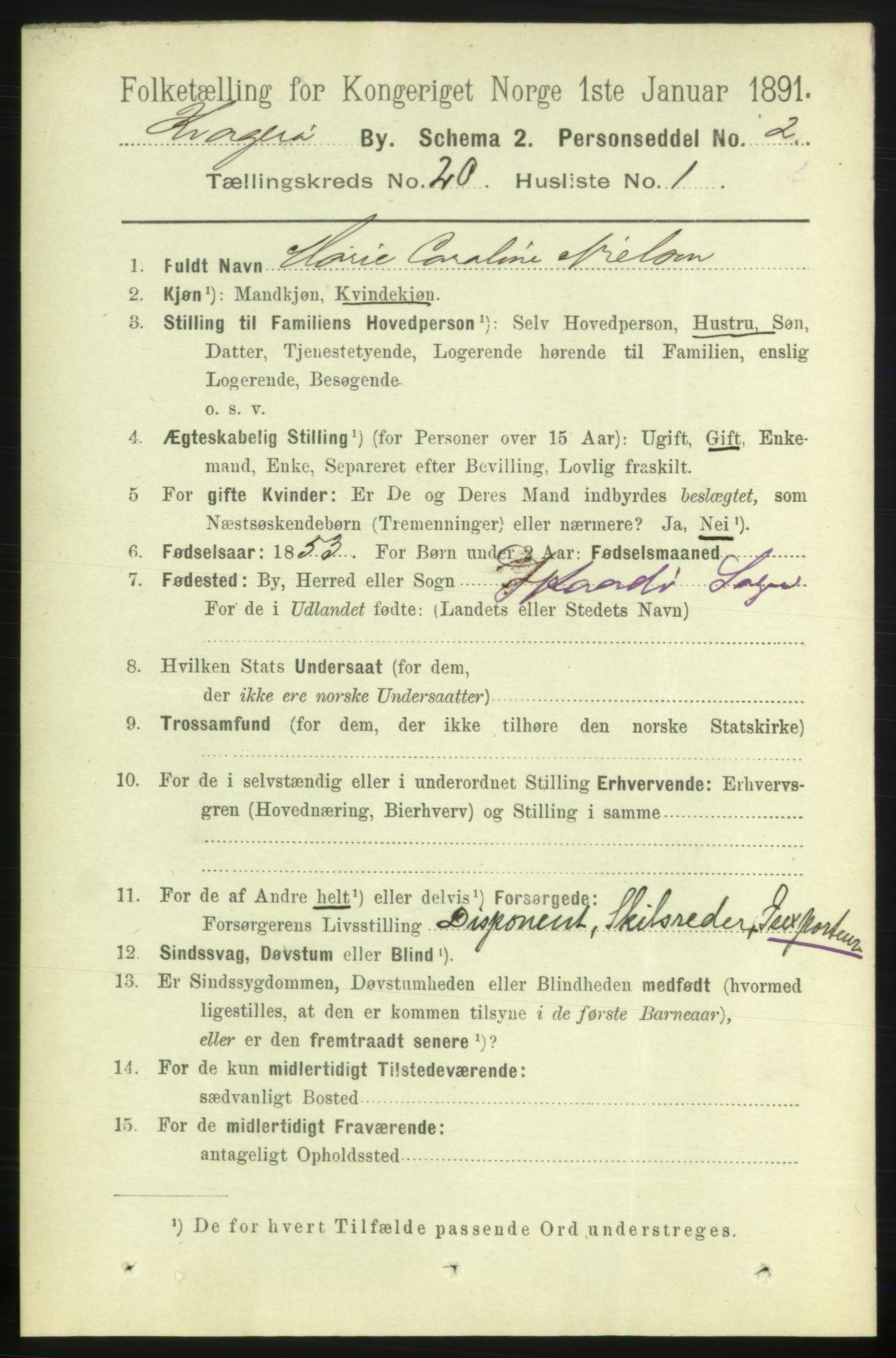 RA, 1891 census for 0801 Kragerø, 1891, p. 4608