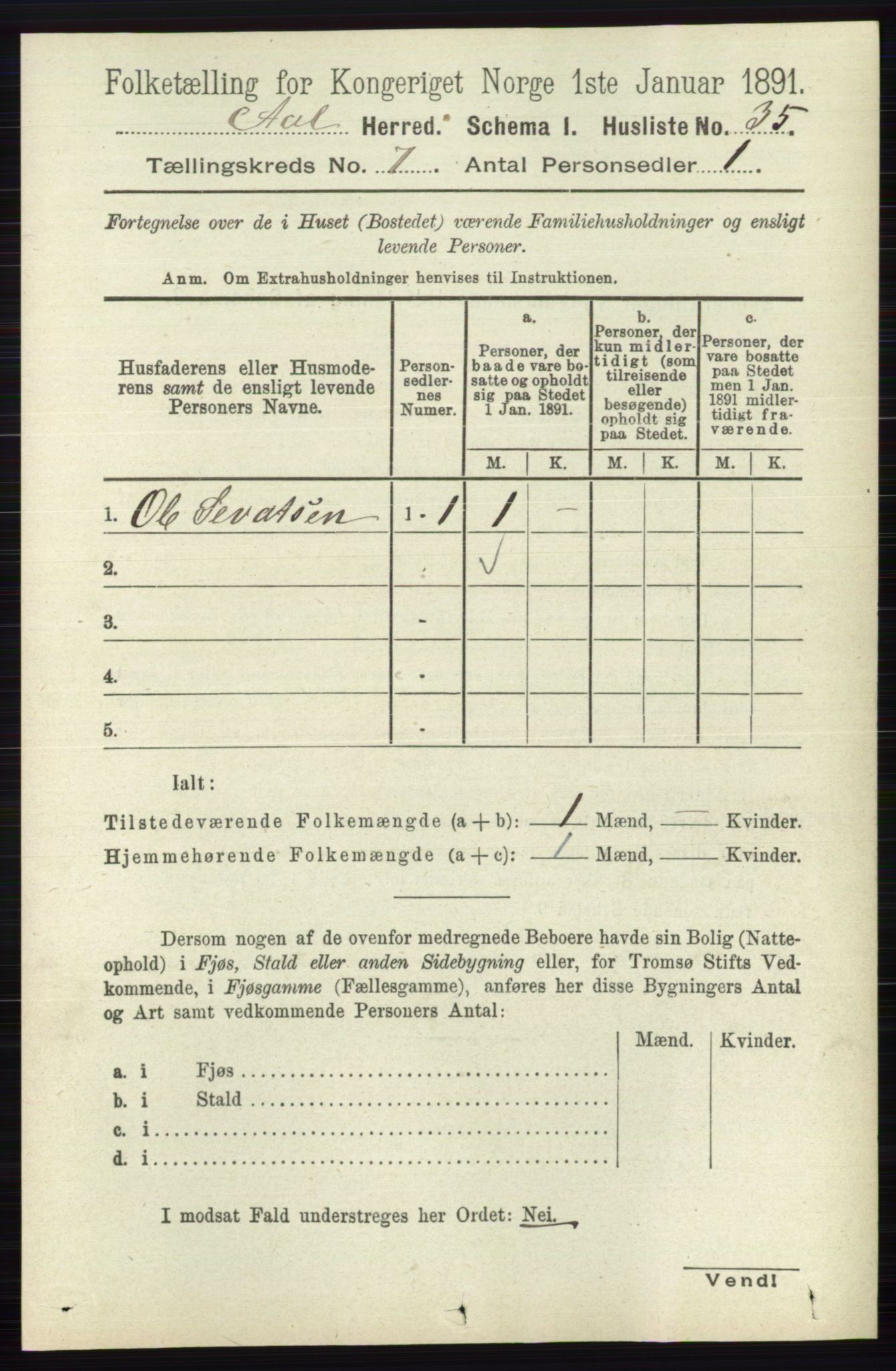 RA, 1891 census for 0619 Ål, 1891, p. 1816