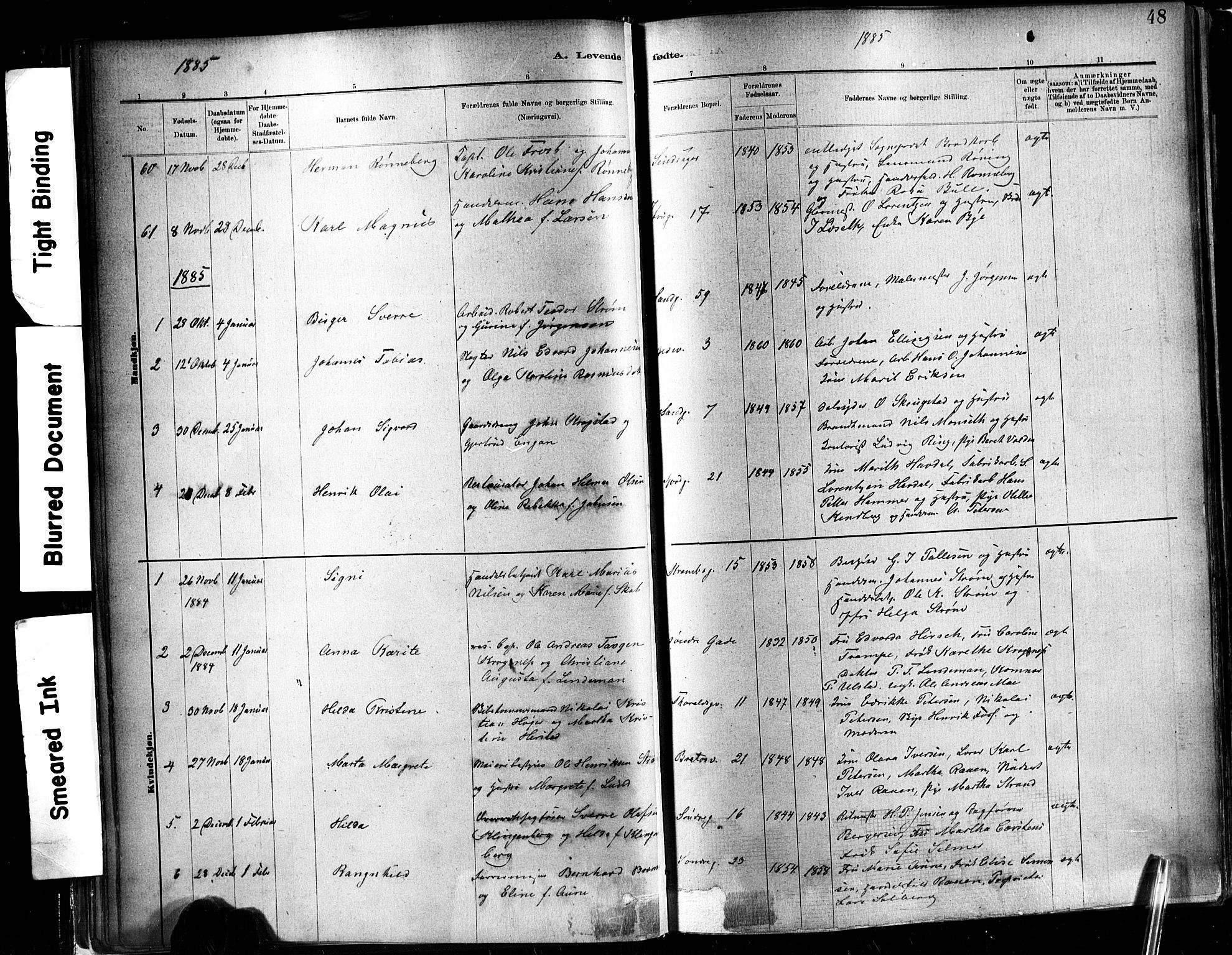Ministerialprotokoller, klokkerbøker og fødselsregistre - Sør-Trøndelag, SAT/A-1456/602/L0119: Parish register (official) no. 602A17, 1880-1901, p. 48