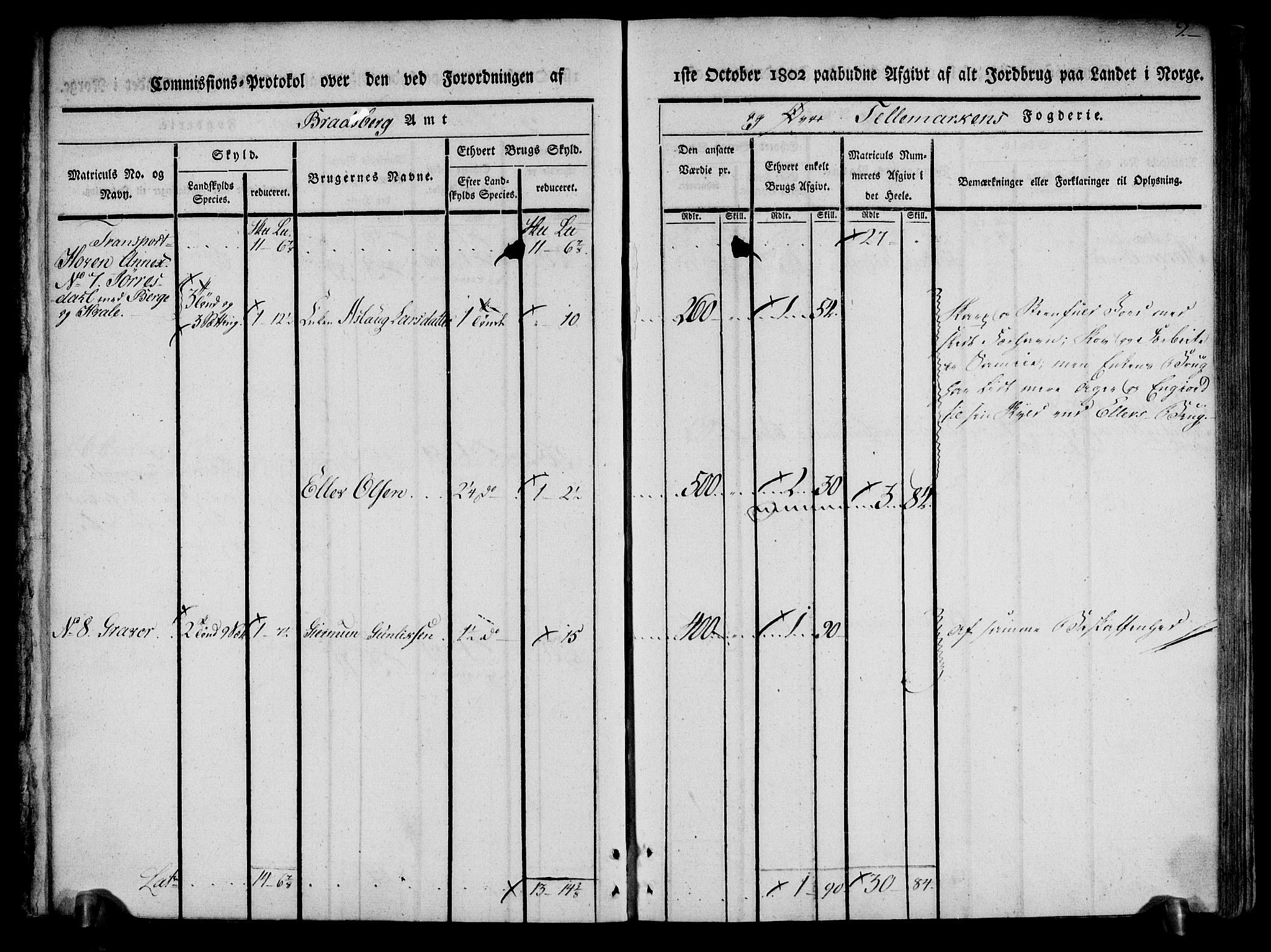 Rentekammeret inntil 1814, Realistisk ordnet avdeling, AV/RA-EA-4070/N/Ne/Nea/L0074: Øvre Telemarken fogderi. Kommisjonsprotokoll for fogderiets østre del - Tinn, Hjartdal og Seljord prestegjeld., 1803, p. 9