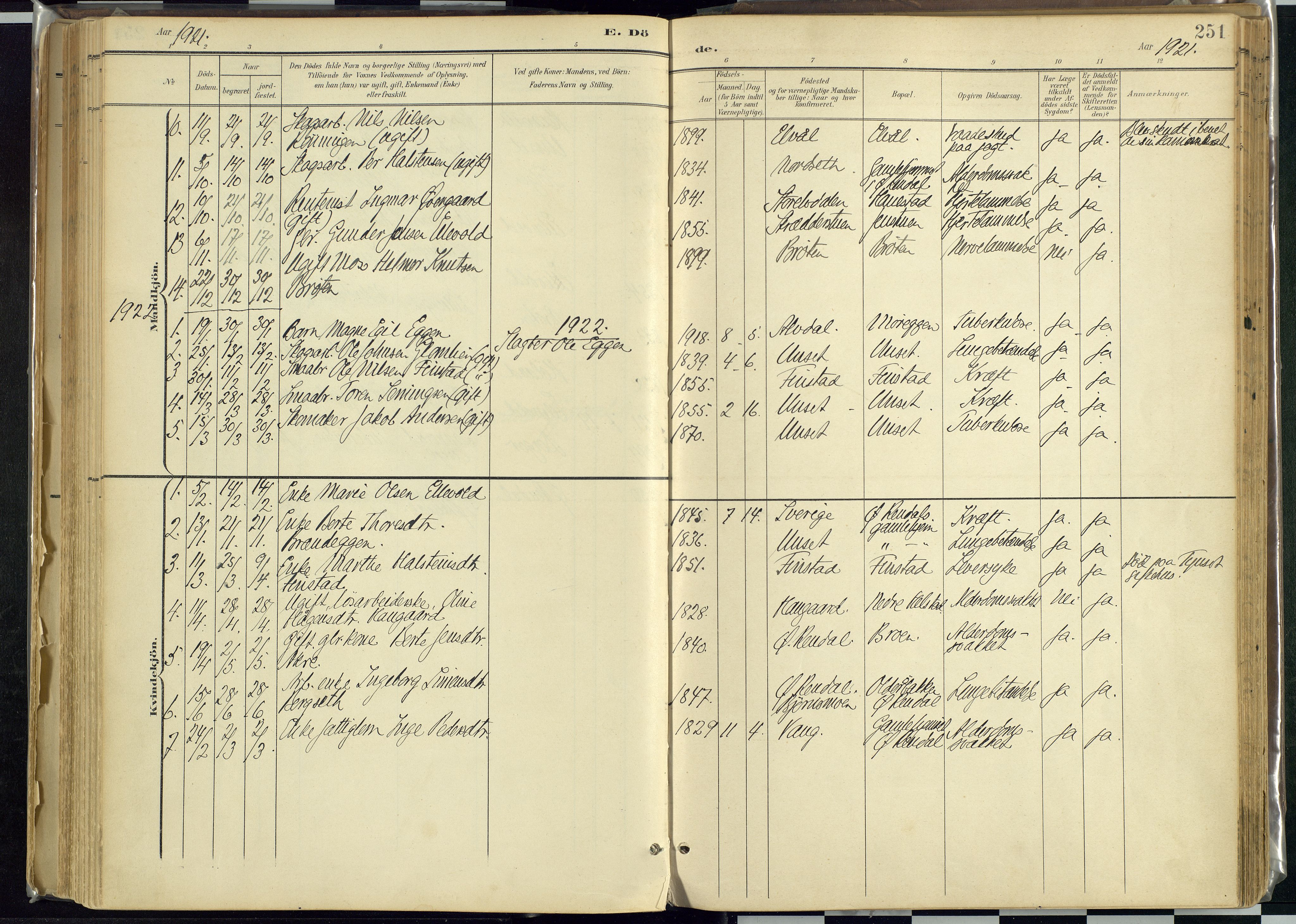Rendalen prestekontor, SAH/PREST-054/H/Ha/Haa/L0012: Parish register (official) no. 12, 1901-1928, p. 251