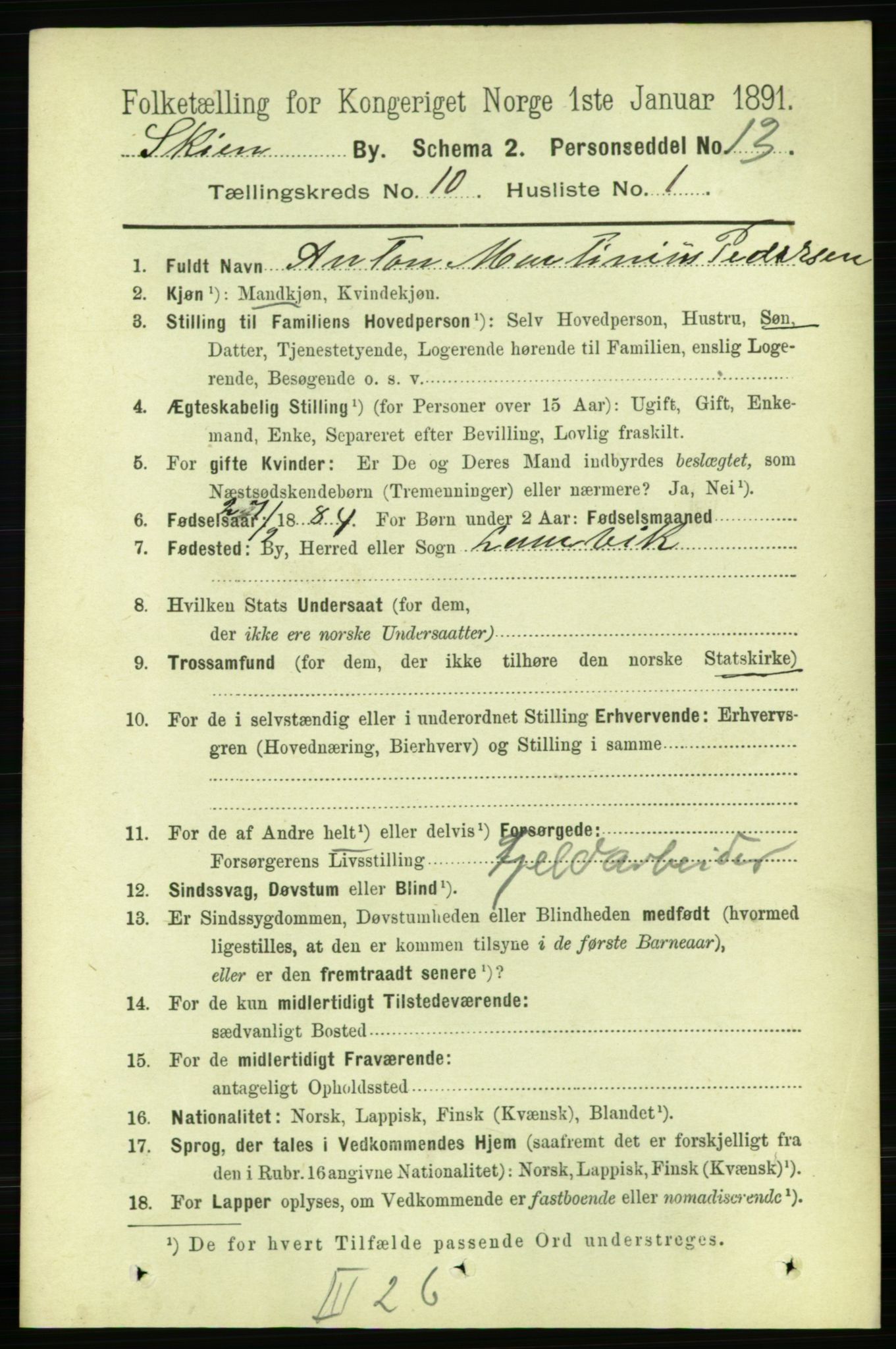 RA, 1891 census for 0806 Skien, 1891, p. 3592