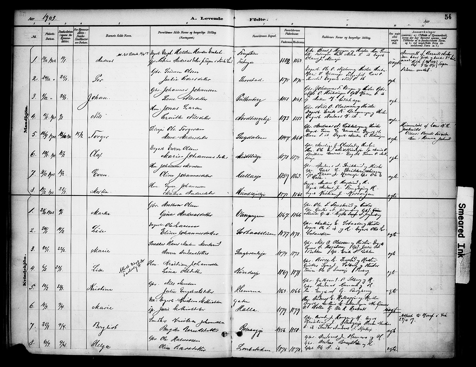 Ringsaker prestekontor, AV/SAH-PREST-014/K/Ka/L0015: Parish register (official) no. 15, 1891-1904, p. 54