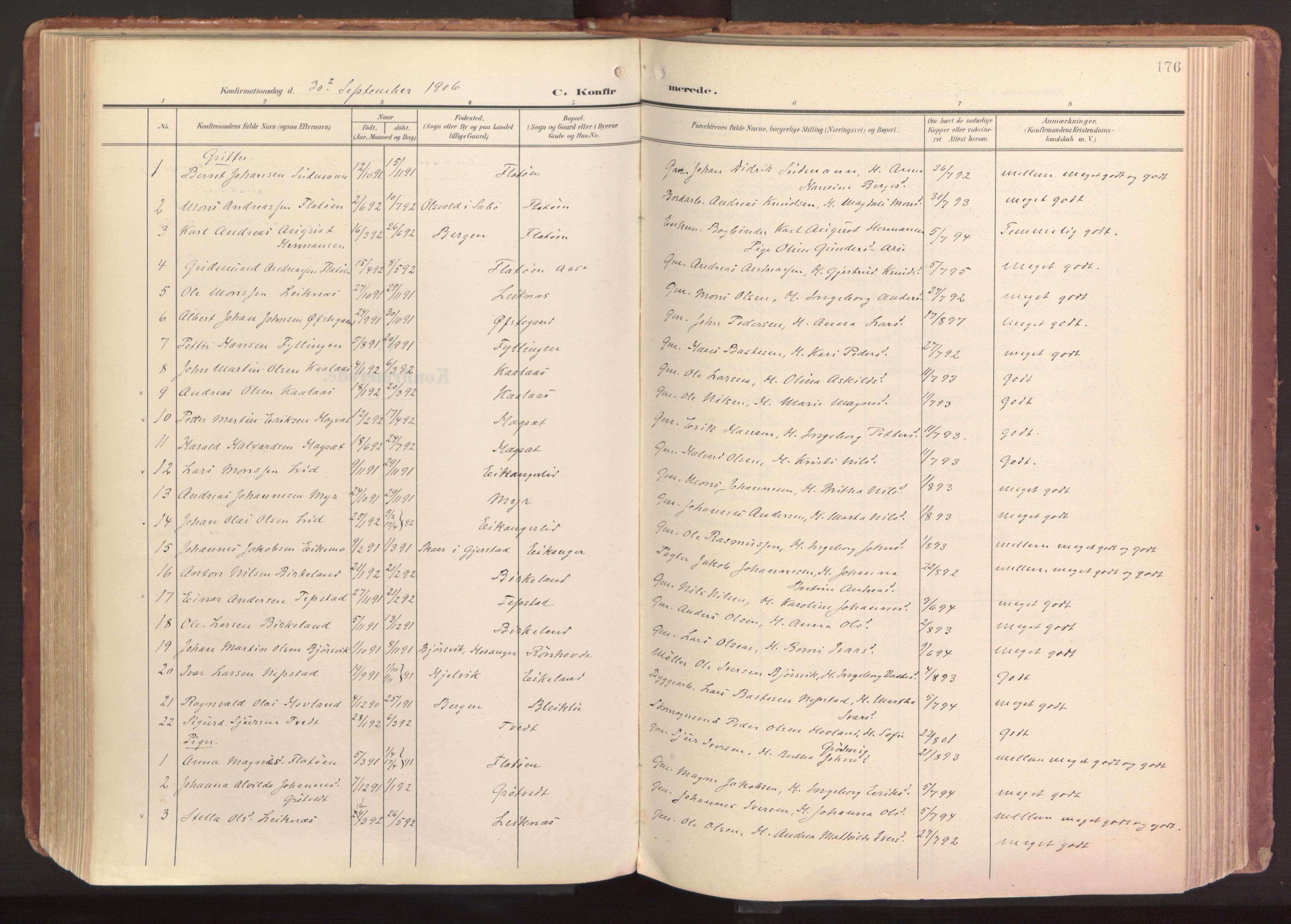 Hamre sokneprestembete, AV/SAB-A-75501/H/Ha/Haa/Haab/L0002: Parish register (official) no. B 2, 1905-1924, p. 176