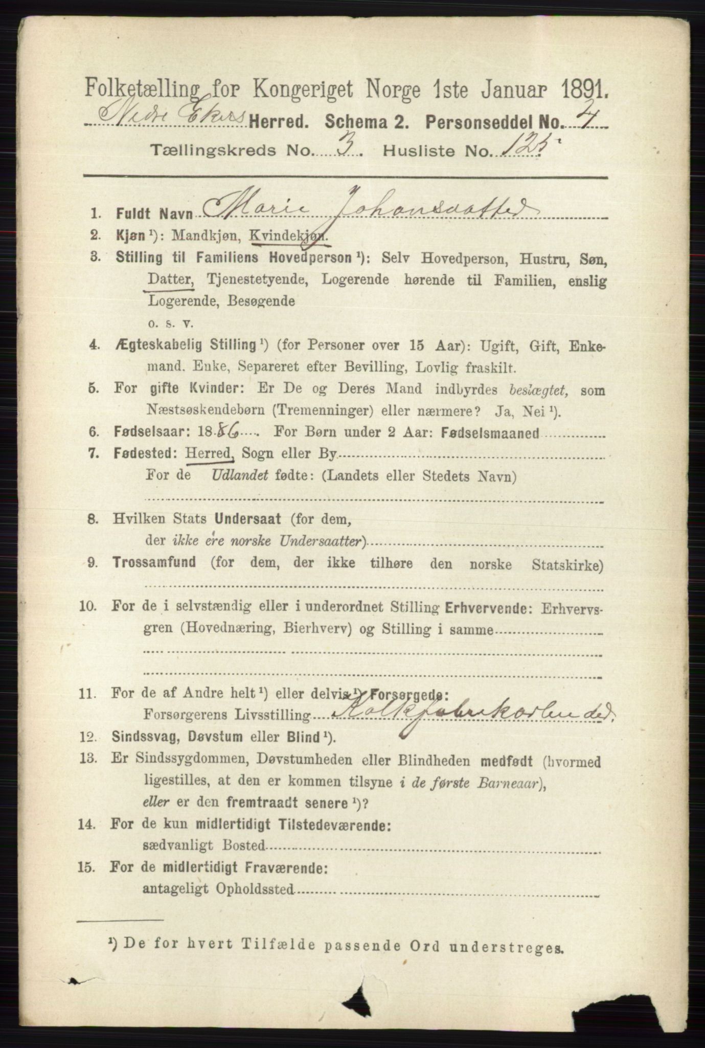 RA, 1891 census for 0625 Nedre Eiker, 1891, p. 1878