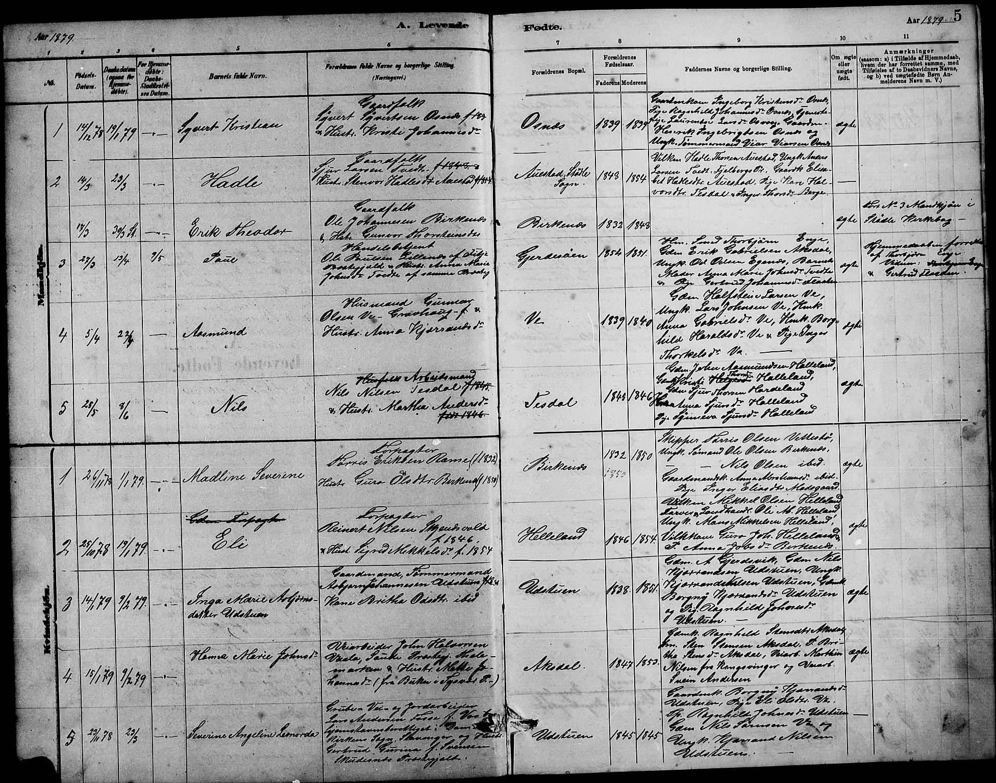Etne sokneprestembete, SAB/A-75001/H/Hab: Parish register (copy) no. B 4, 1879-1897, p. 5
