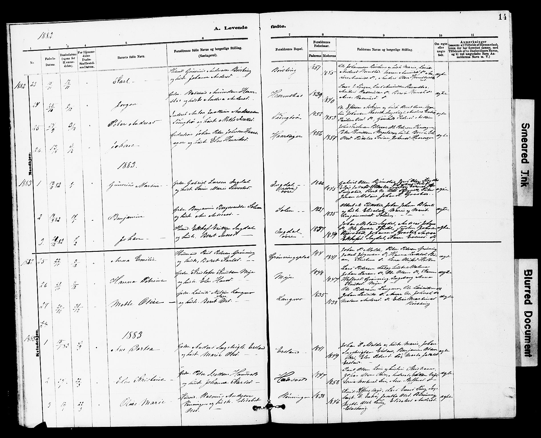 Ministerialprotokoller, klokkerbøker og fødselsregistre - Sør-Trøndelag, SAT/A-1456/646/L0628: Parish register (copy) no. 646C01, 1880-1903, p. 14