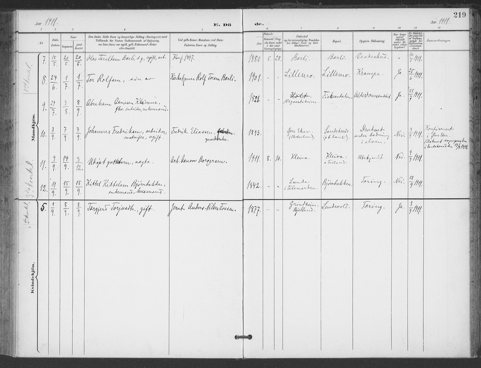 Åmli sokneprestkontor, AV/SAK-1111-0050/F/Fa/Fac/L0012: Parish register (official) no. A 12, 1900-1914, p. 219